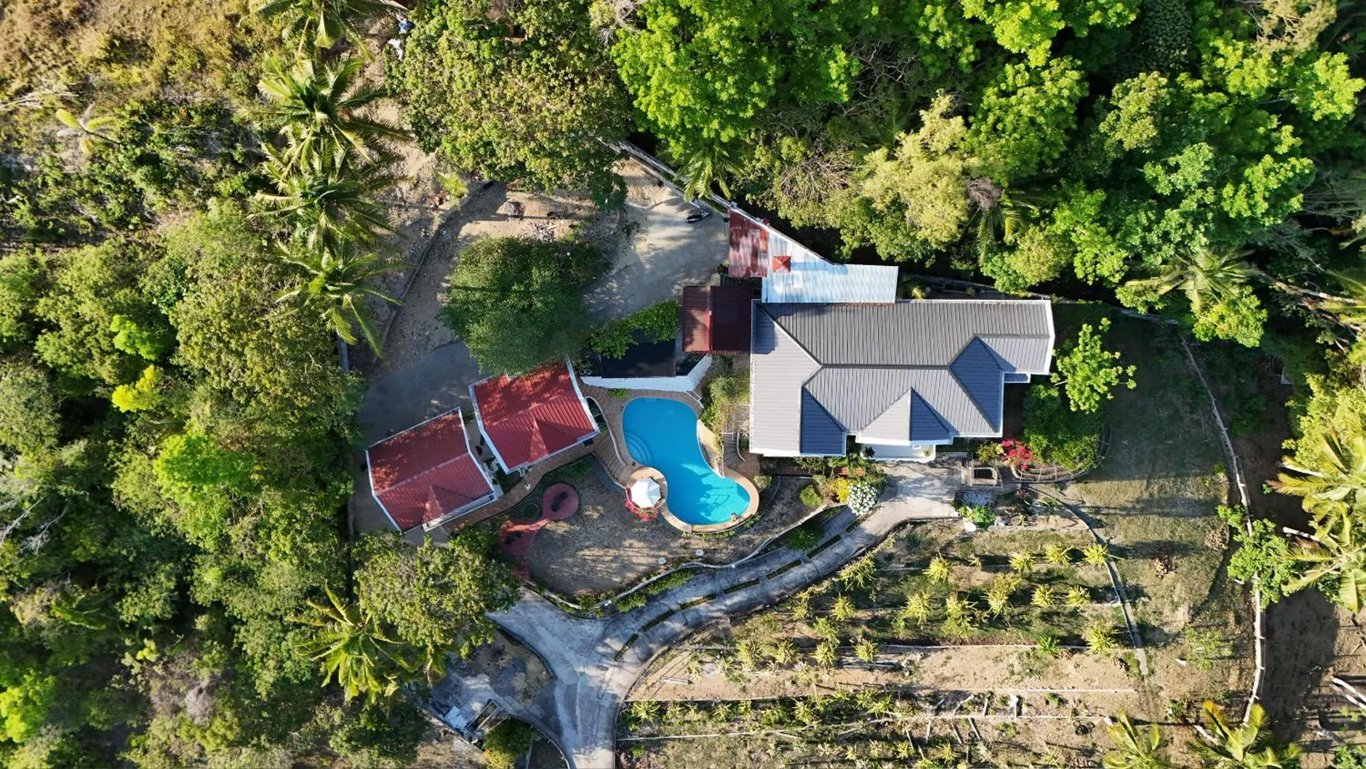 Property building in Vidas Mountain Stay-Bohol