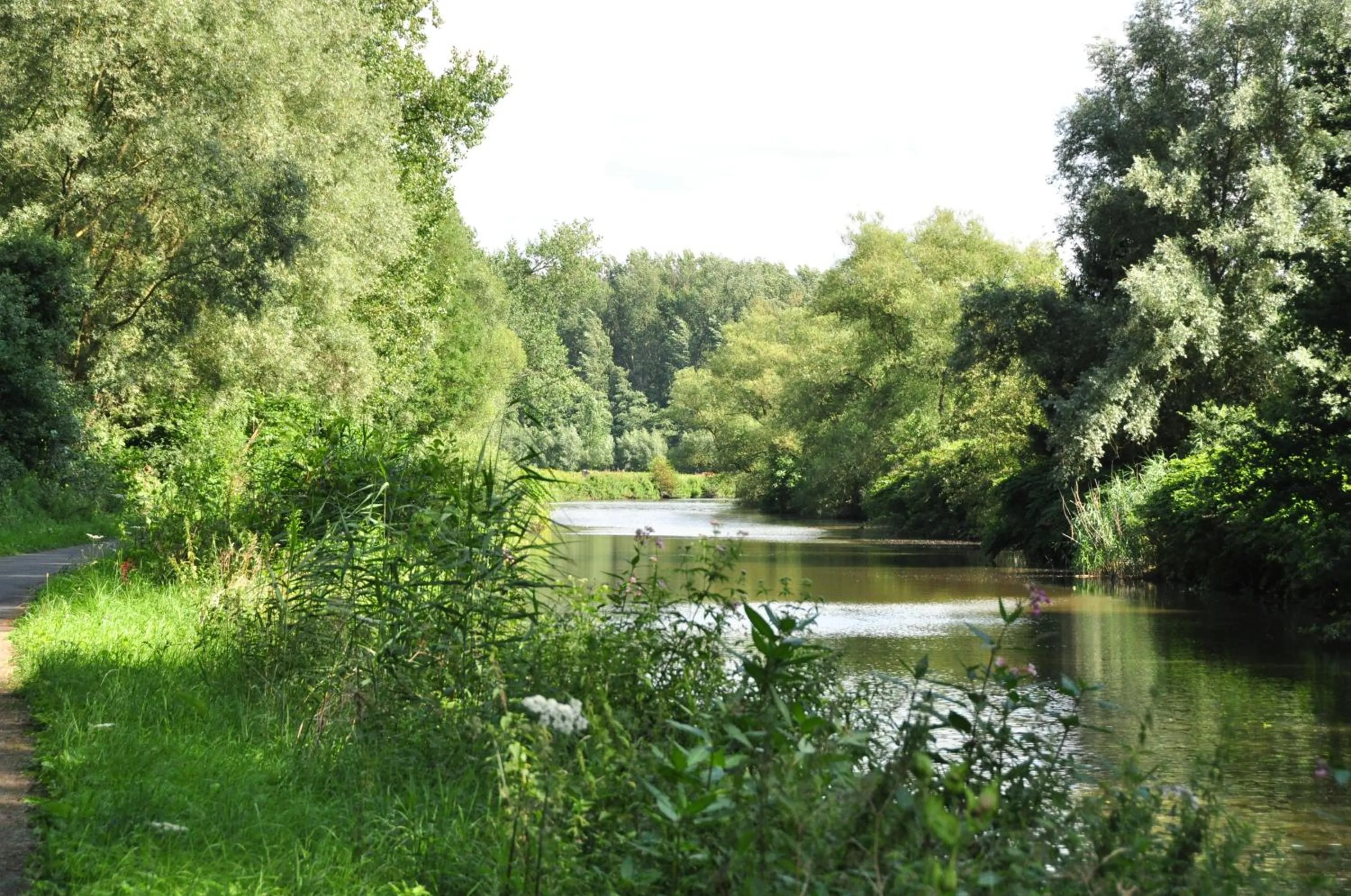 River view in Chillann