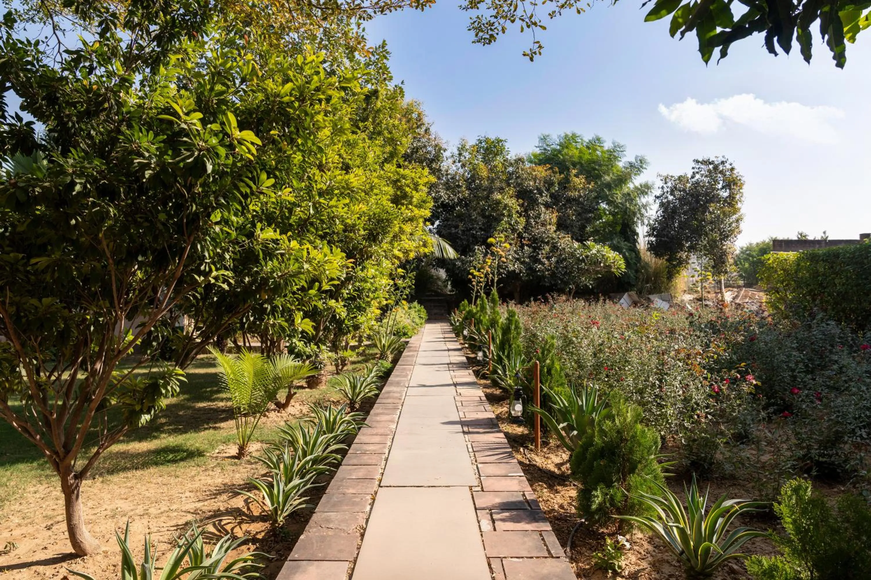 Abhyaran Resort & Spa Ranthambore