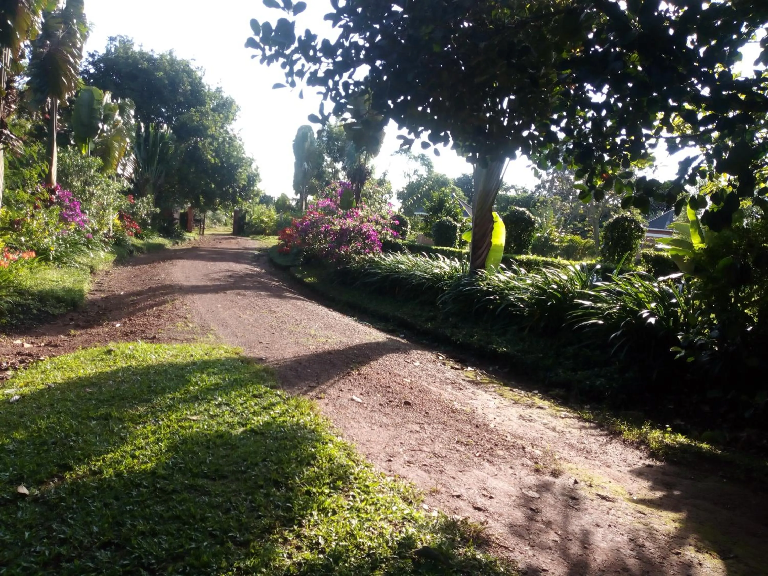Garden in Philo Leisure Gardens