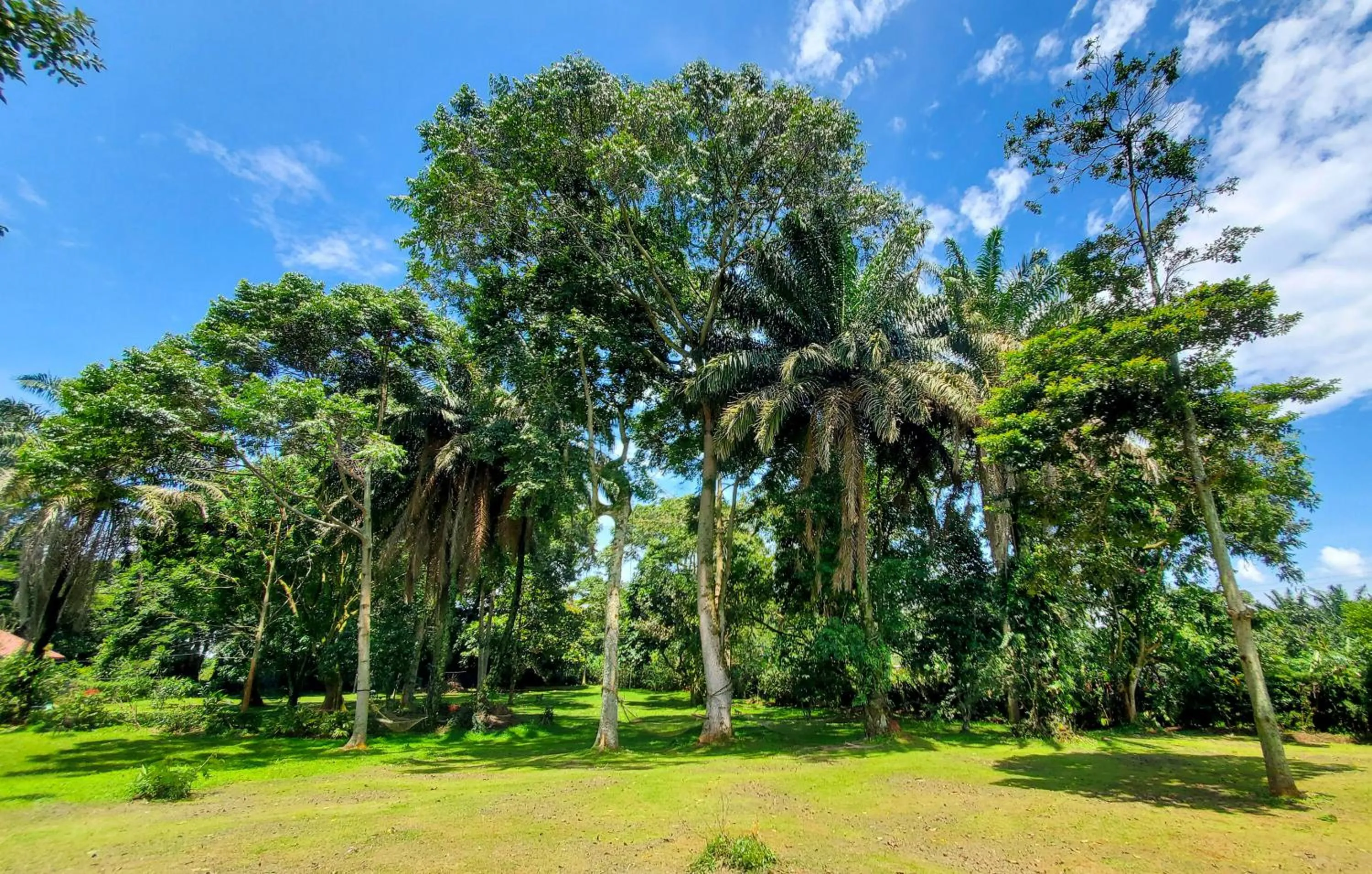 Natural landscape in Philo Leisure Gardens