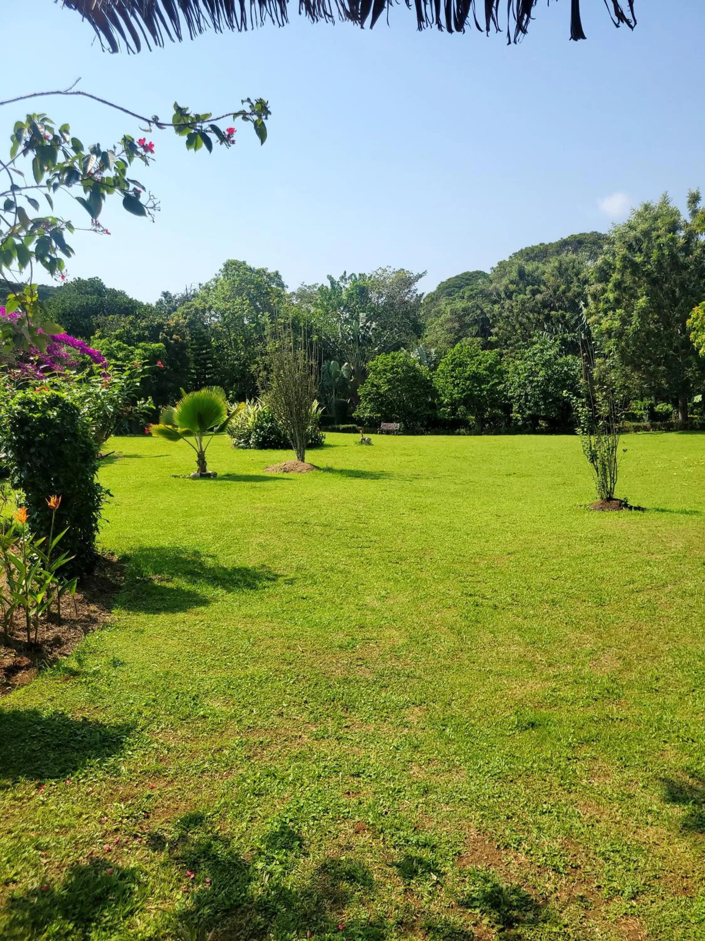 Natural landscape in Philo Leisure Gardens