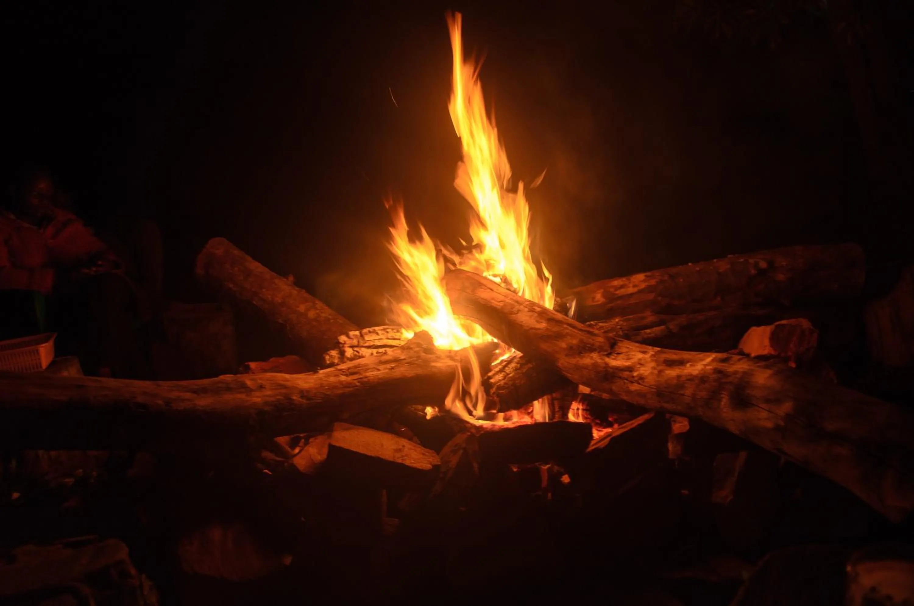 Night in Philo Leisure Gardens