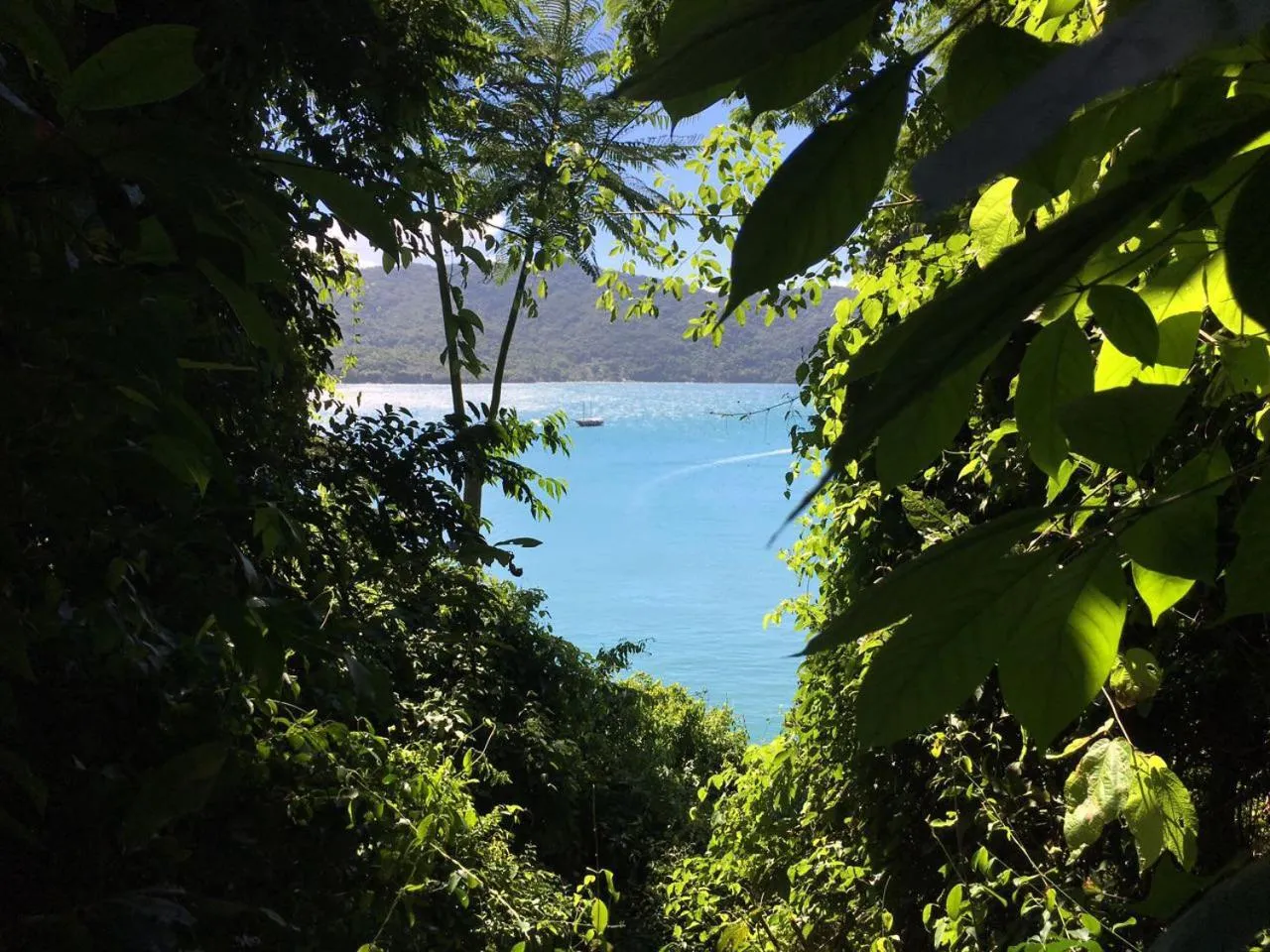 Beach in Bonito Paraiso Ilha Grande