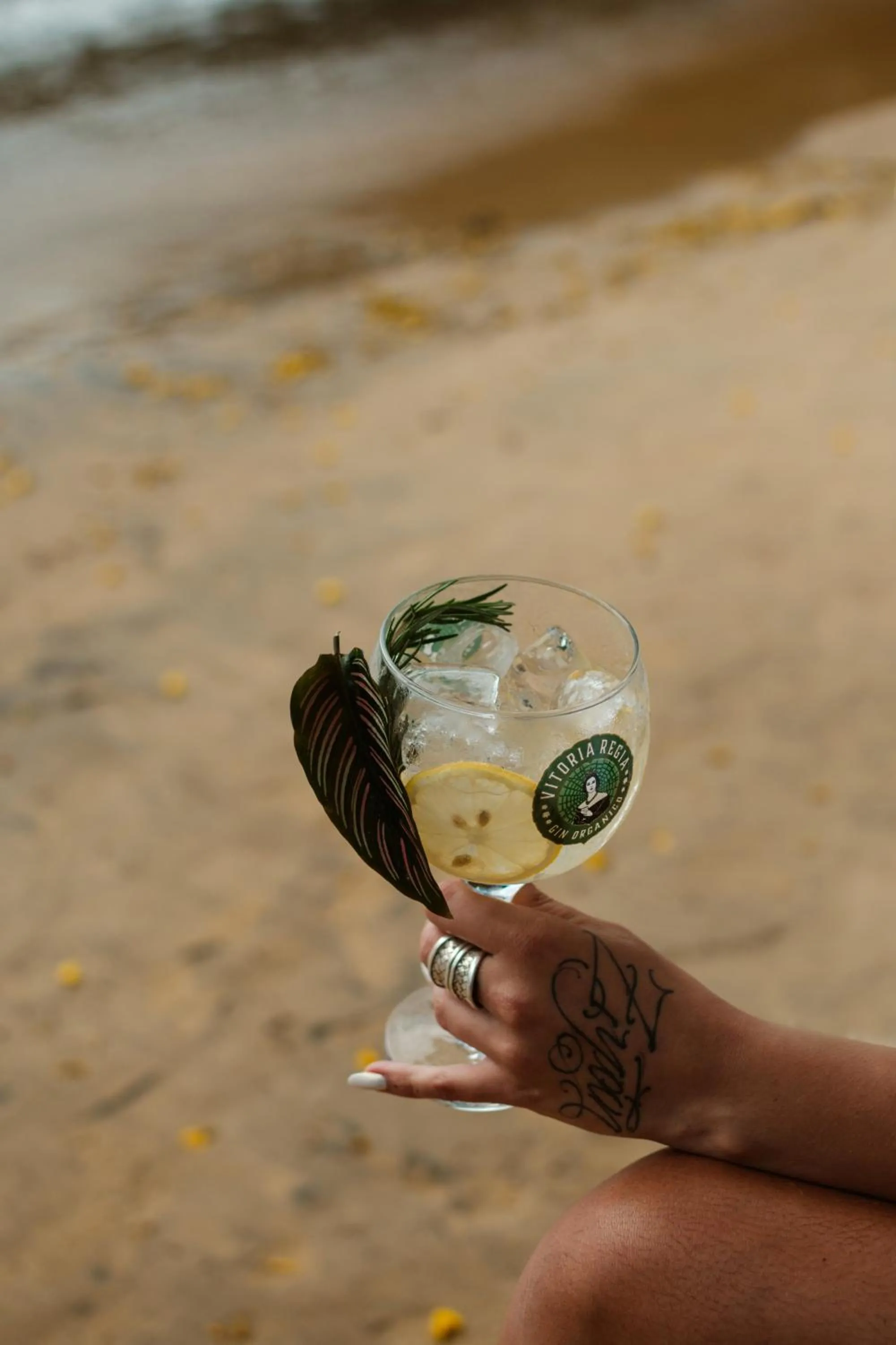 Lounge or bar in Bonito Paraiso Ilha Grande