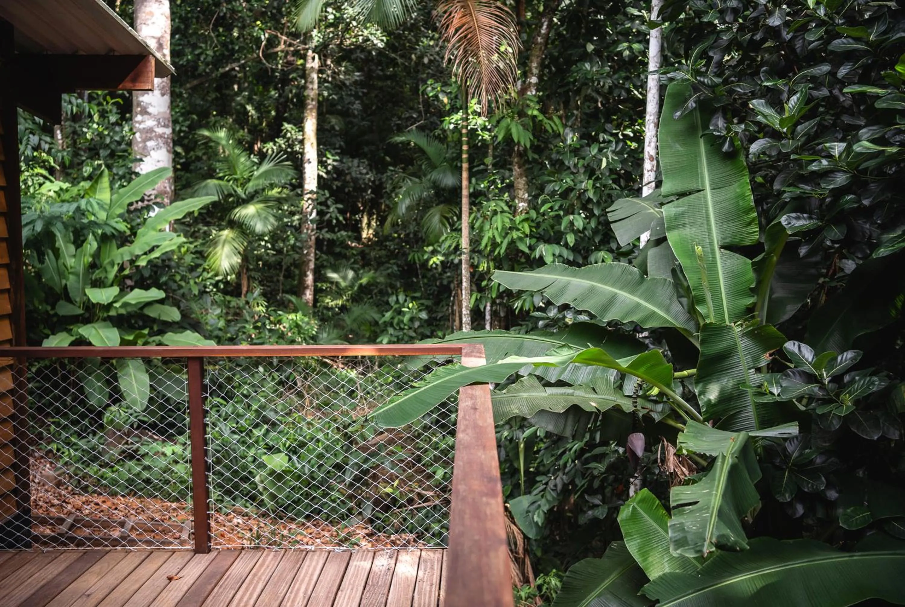 Natural landscape in Bonito Paraiso Ilha Grande