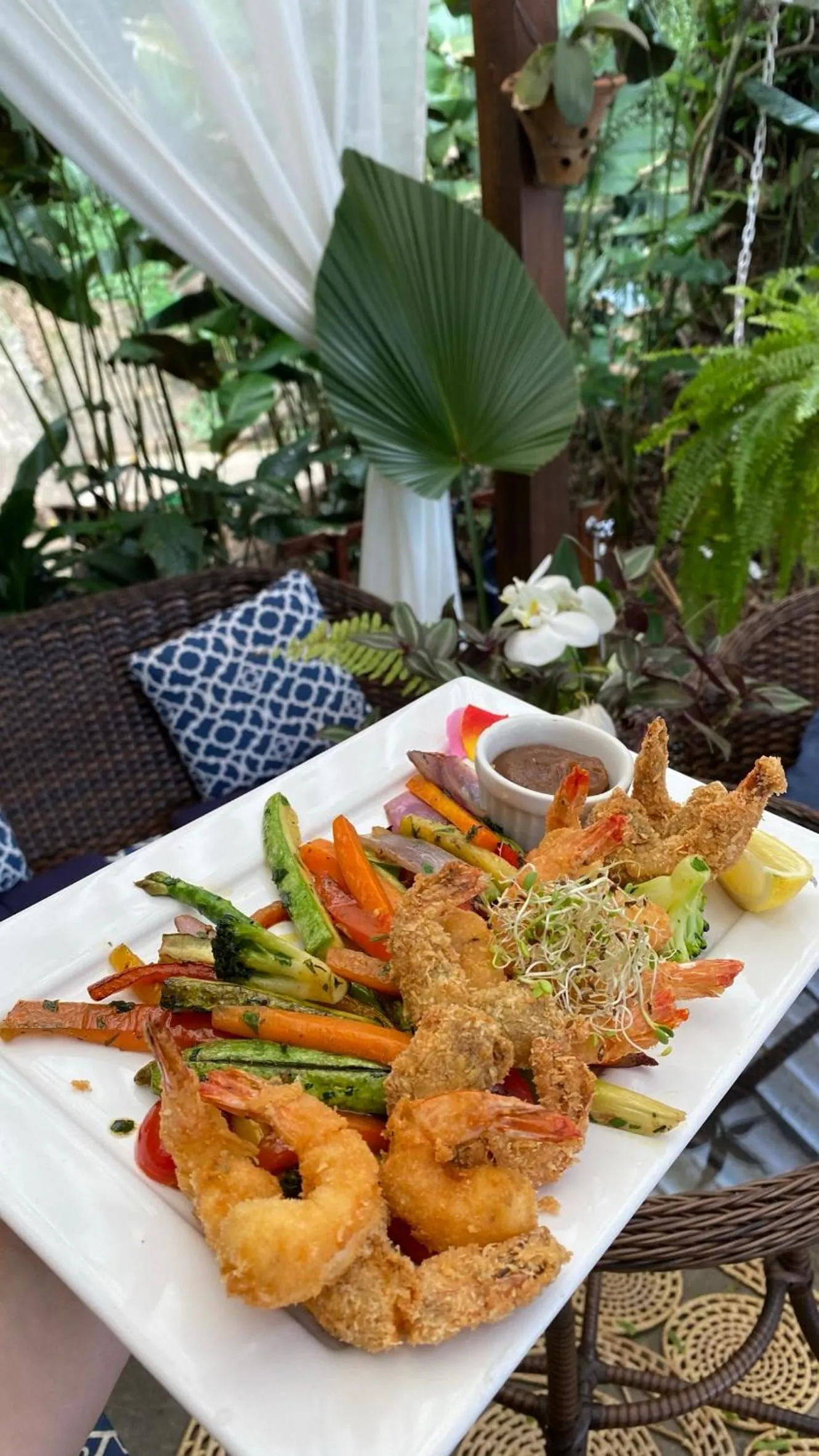 Restaurant/places to eat in Bonito Paraiso Ilha Grande