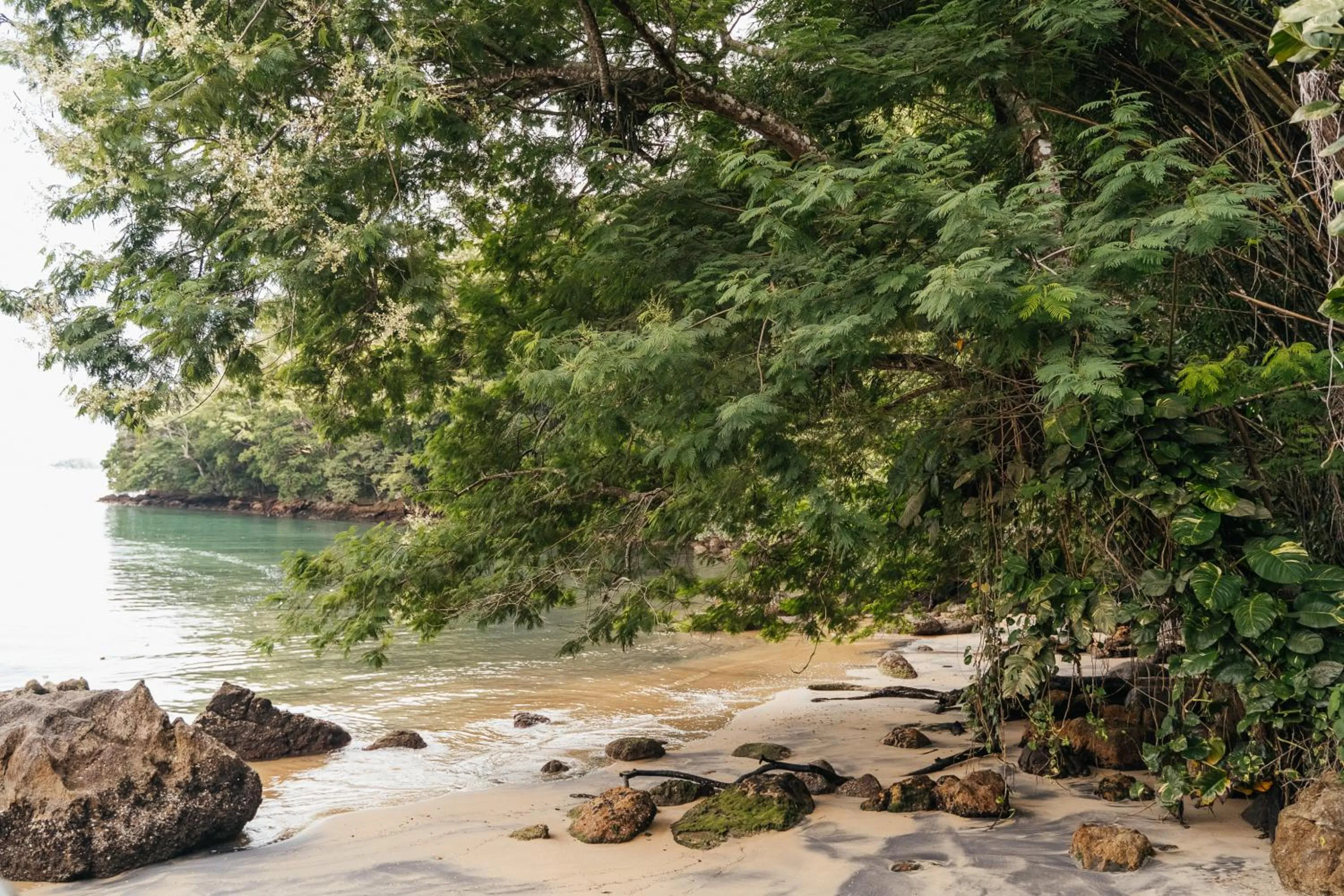 Beach in Bonito Paraiso Ilha Grande