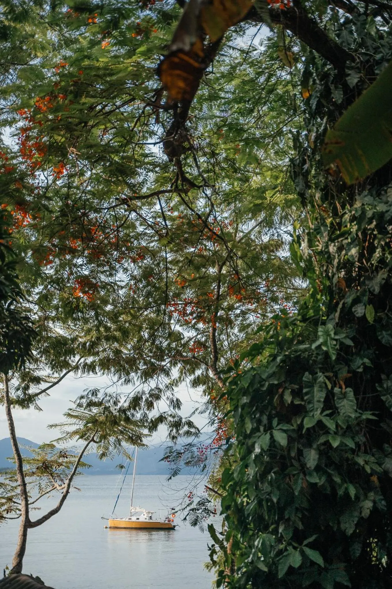 Sea view in Bonito Paraiso Ilha Grande