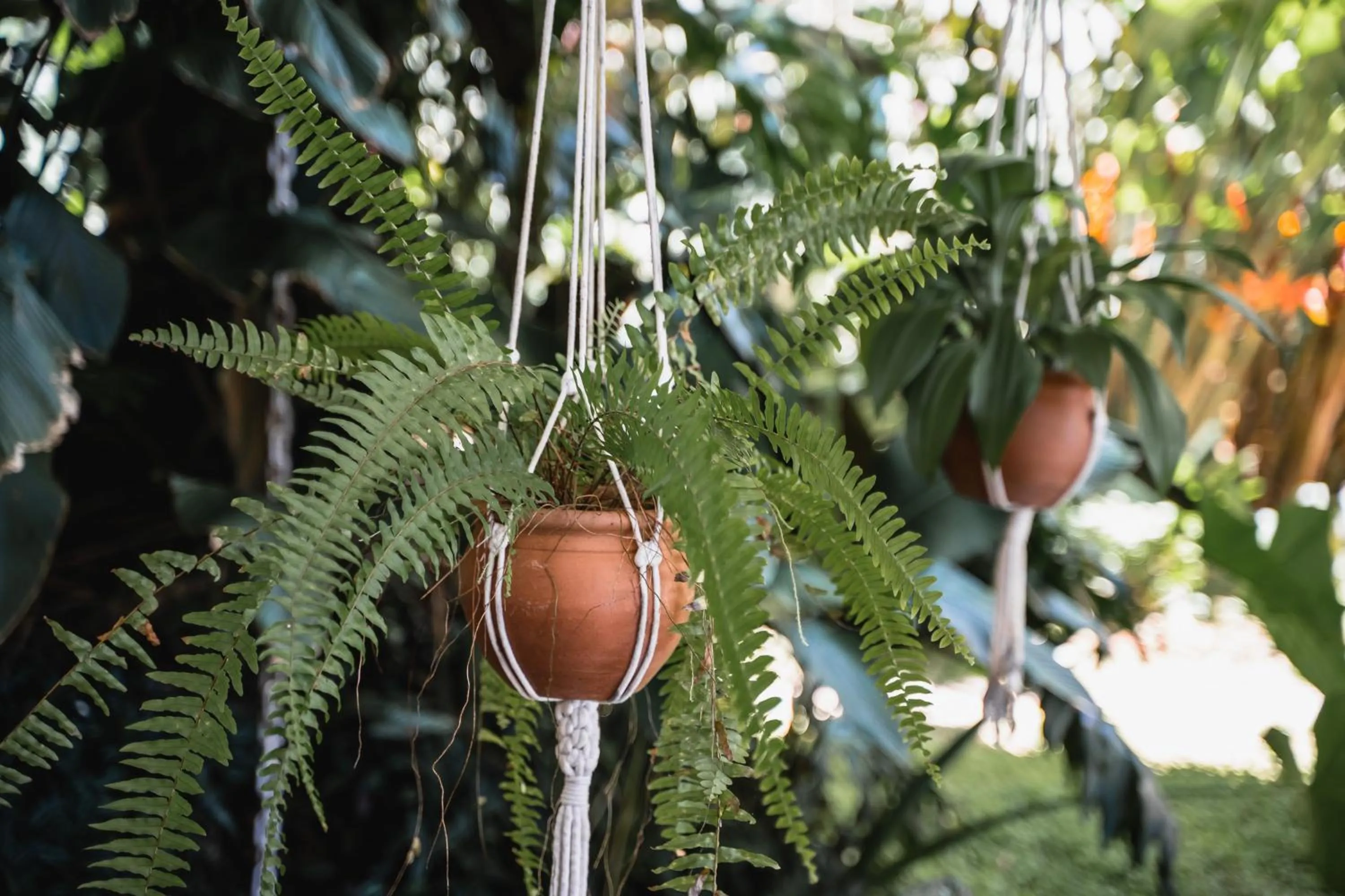 Garden in Bonito Paraiso Ilha Grande