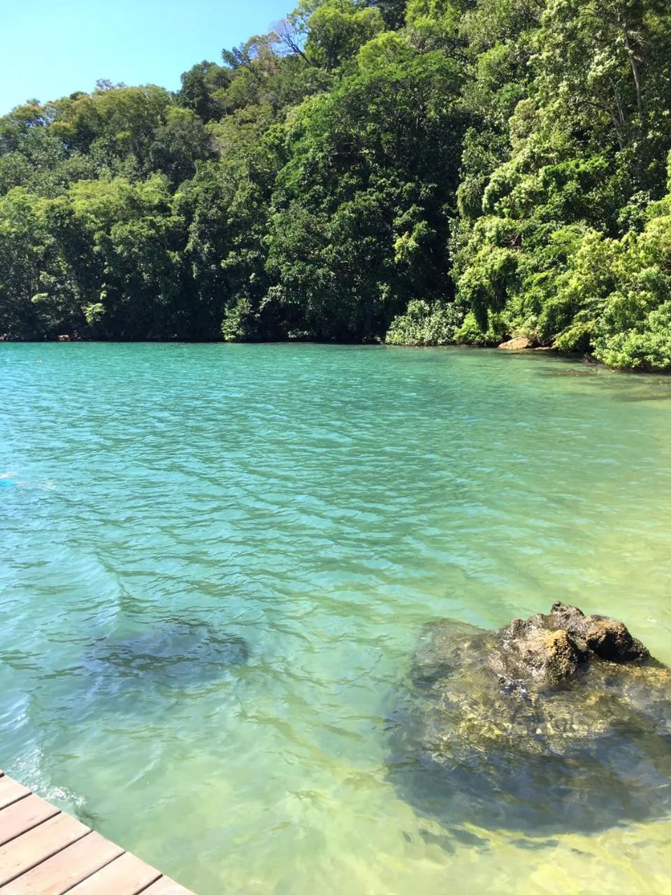 Beach in Bonito Paraiso Ilha Grande