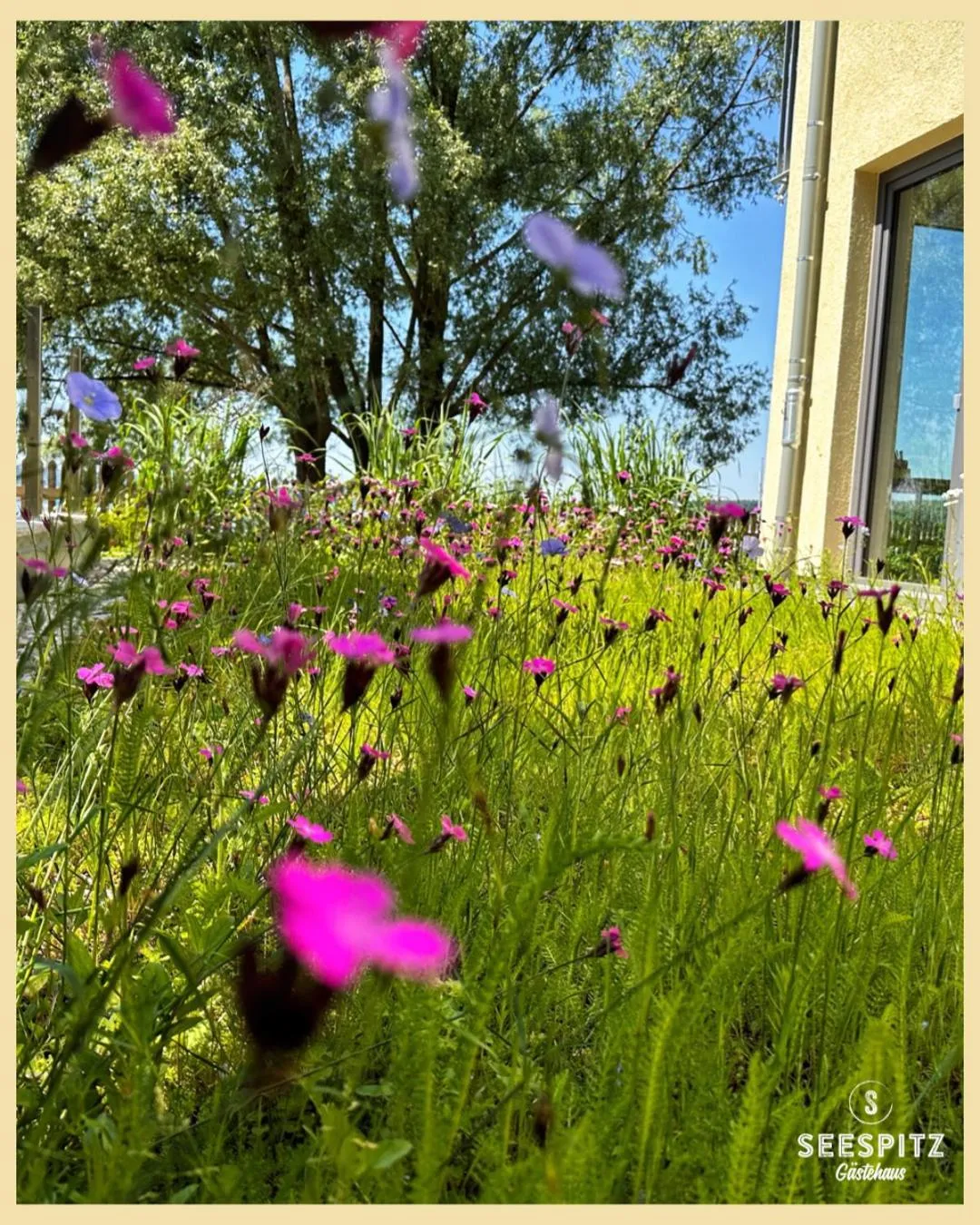 Garden view in Seespitz Gästehaus