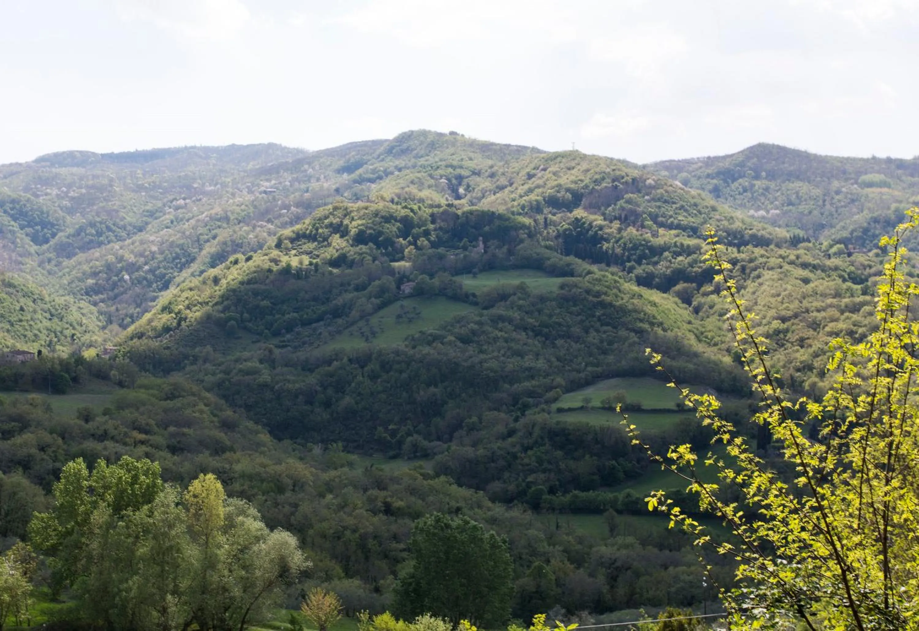 Natural landscape in Il Mugello B&B