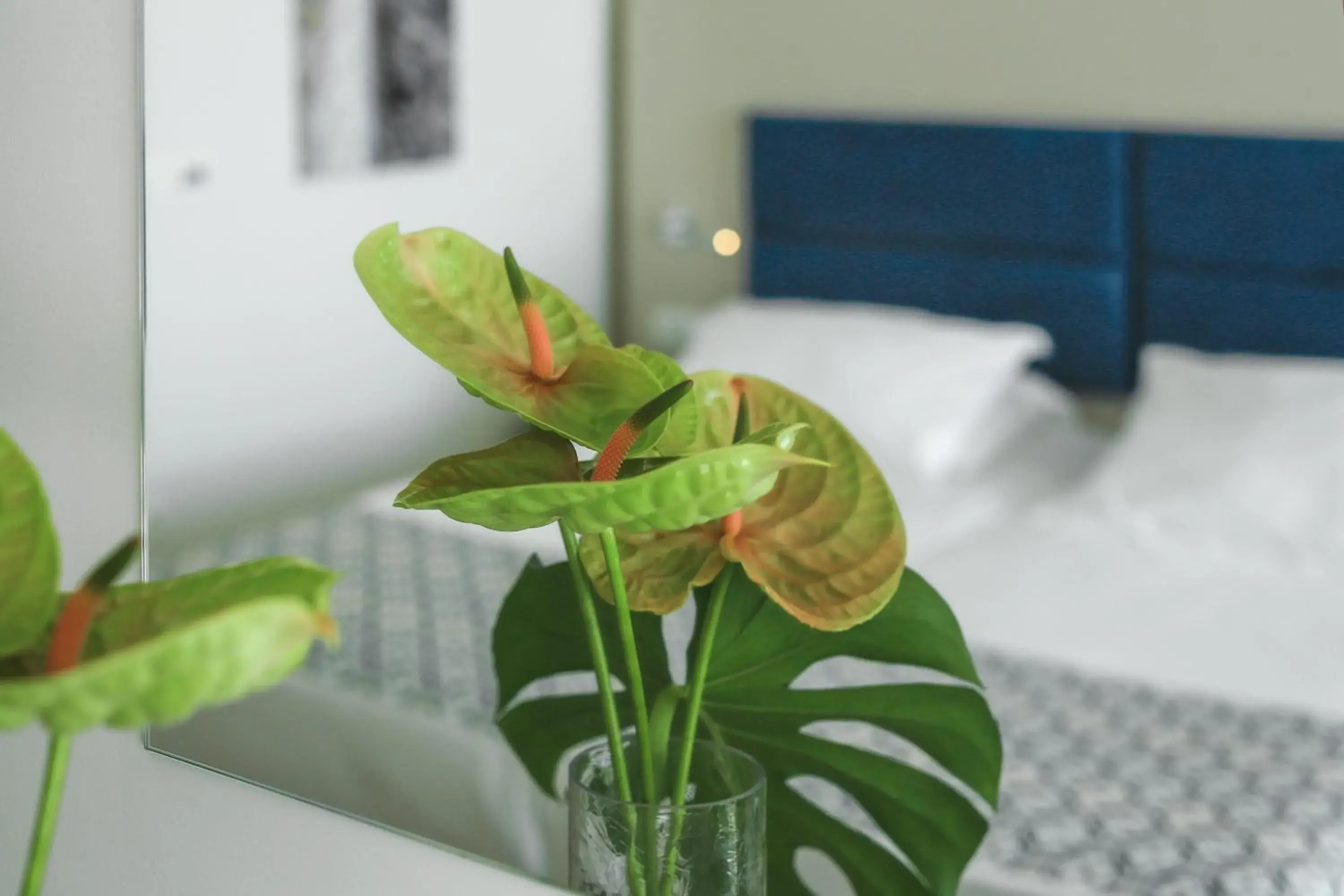 Bedroom, Bed in Romana Beach Resort Bedroom, Bed in Romana Beach Resort