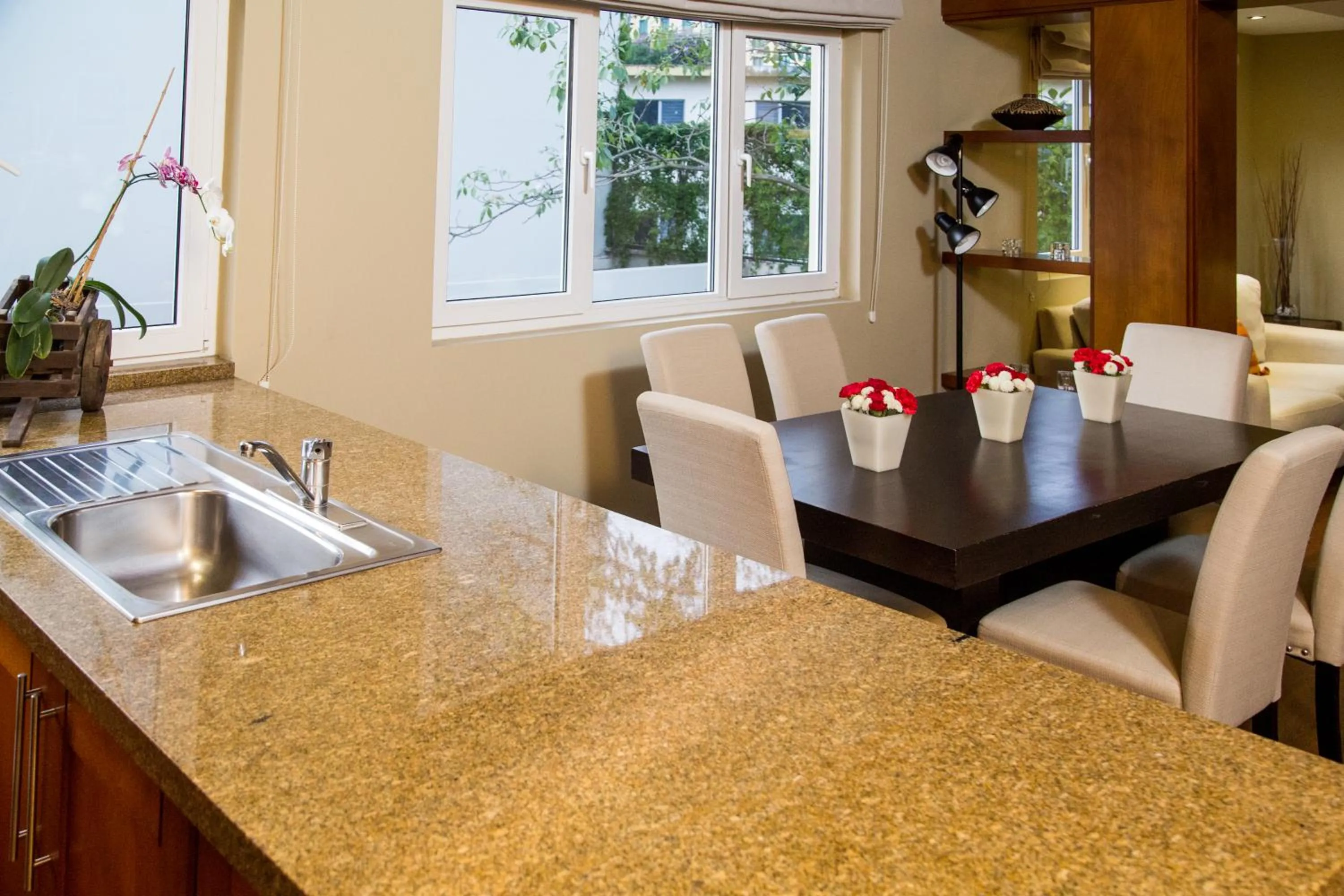 Kitchen or kitchenette in Apart-Hotel Casa Serena