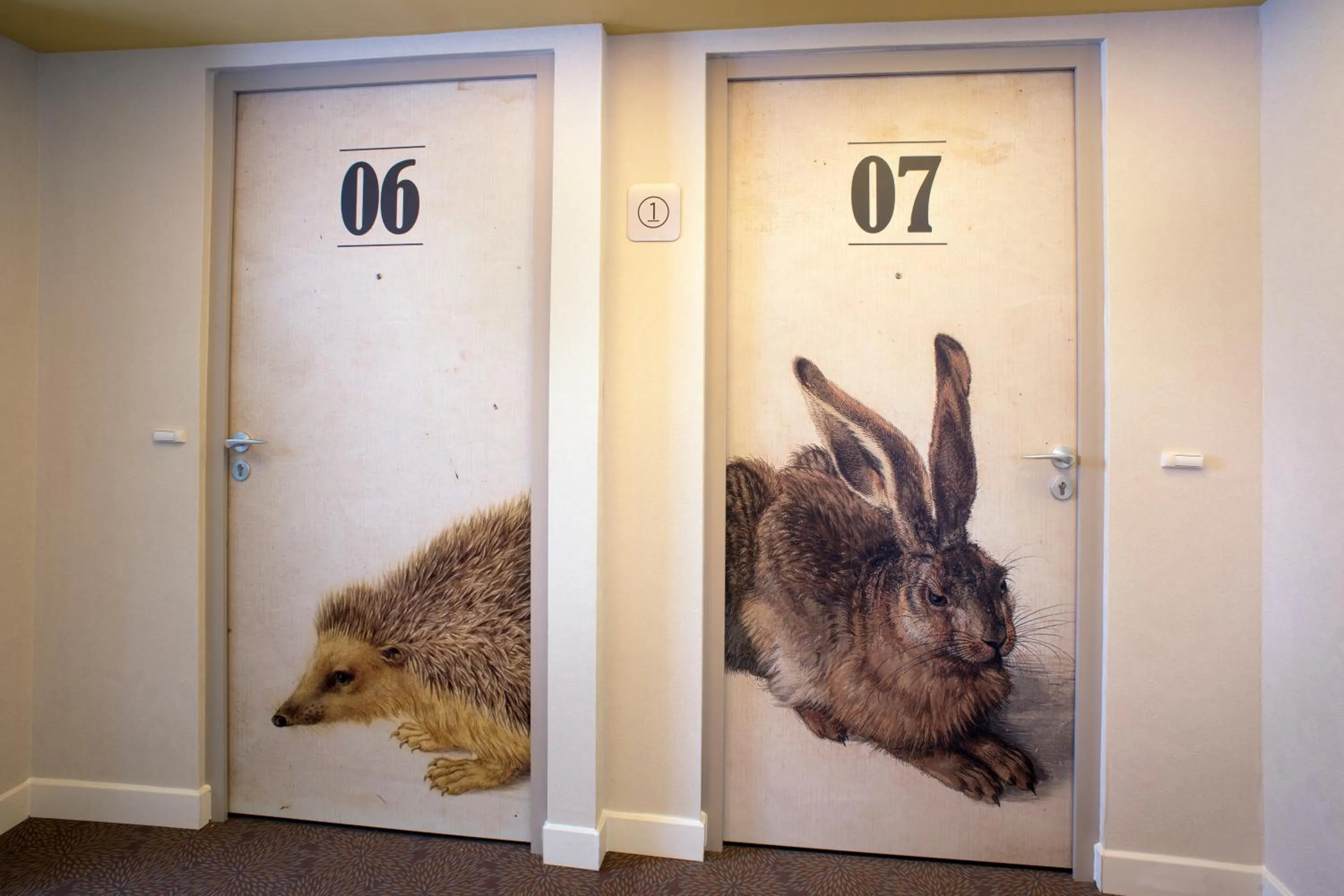 Area and facilities in Domitys - Le Carillon d'or