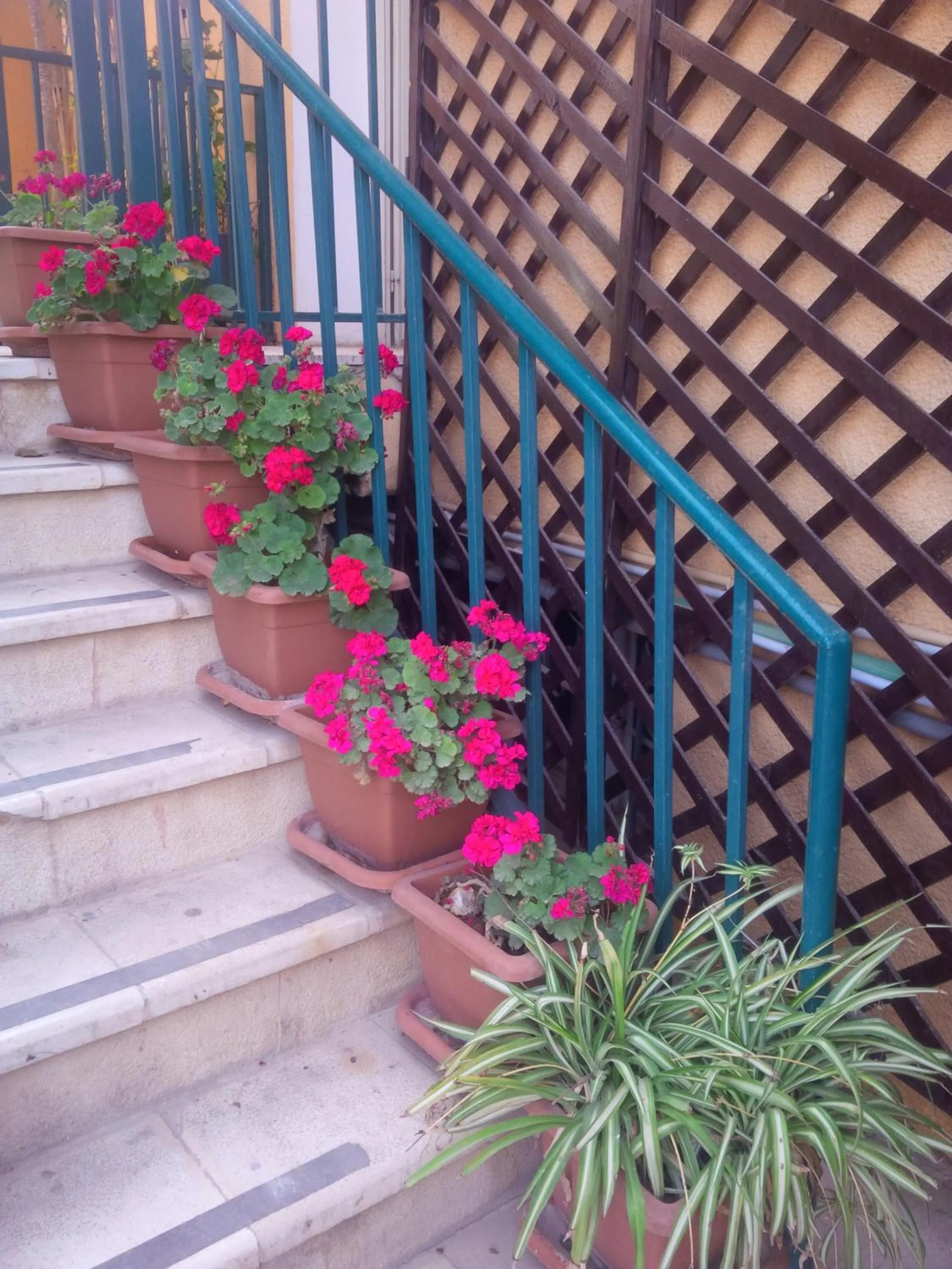 Garden in Mariam Hotel