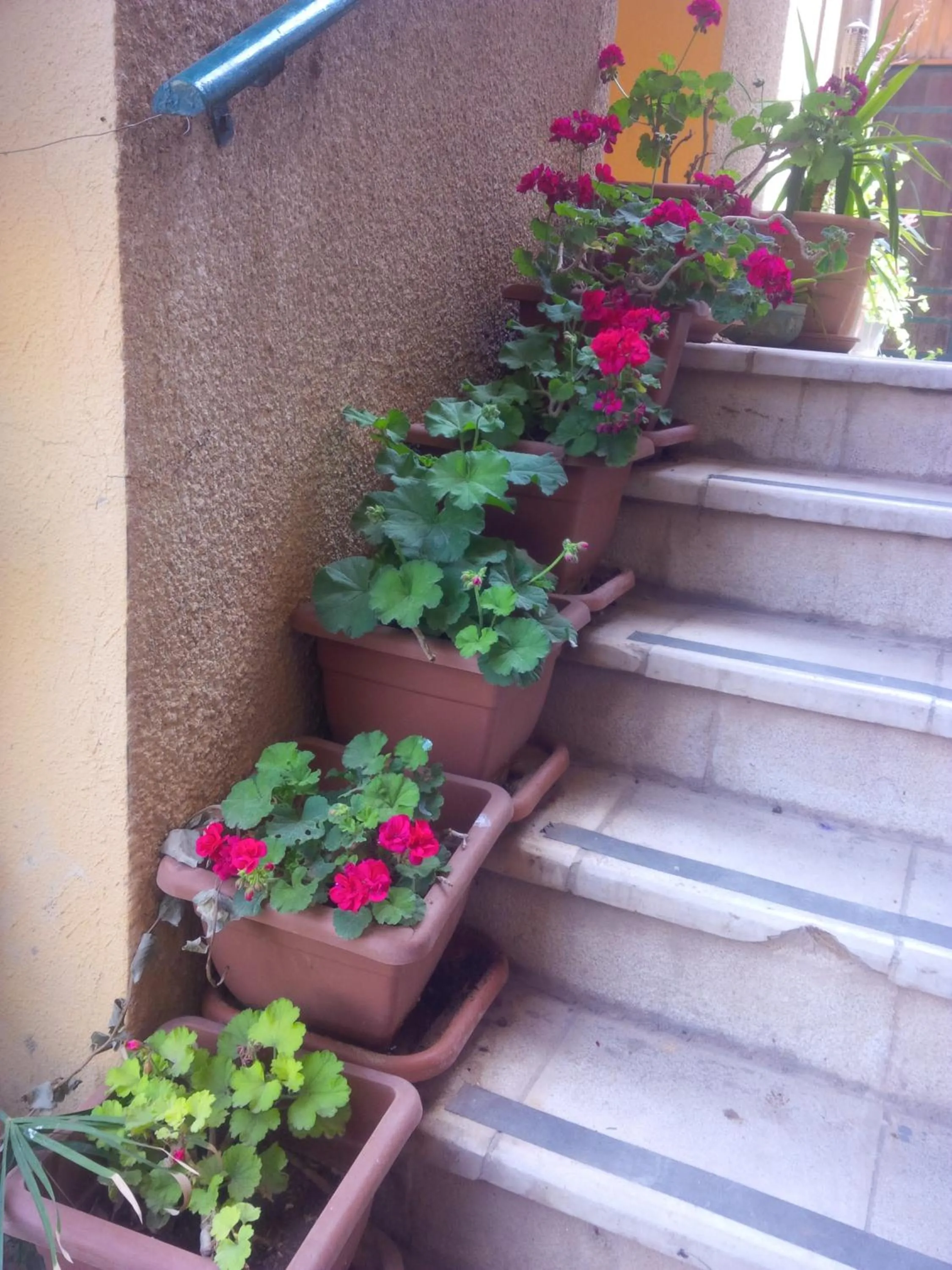 Patio in Mariam Hotel