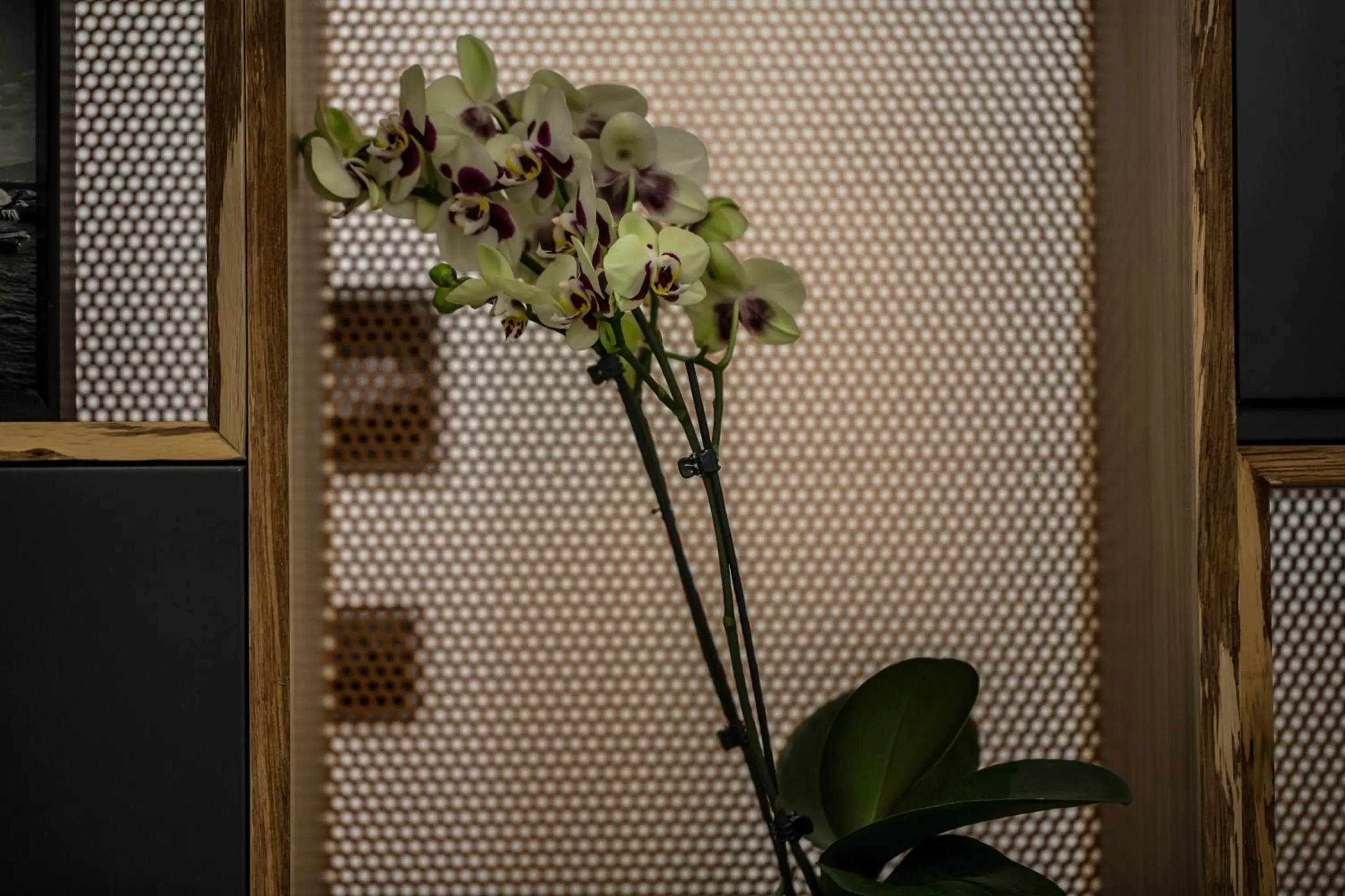 Lobby or reception in The Boutique Napoli Suite Lobby or reception in The Boutique Napoli Suite