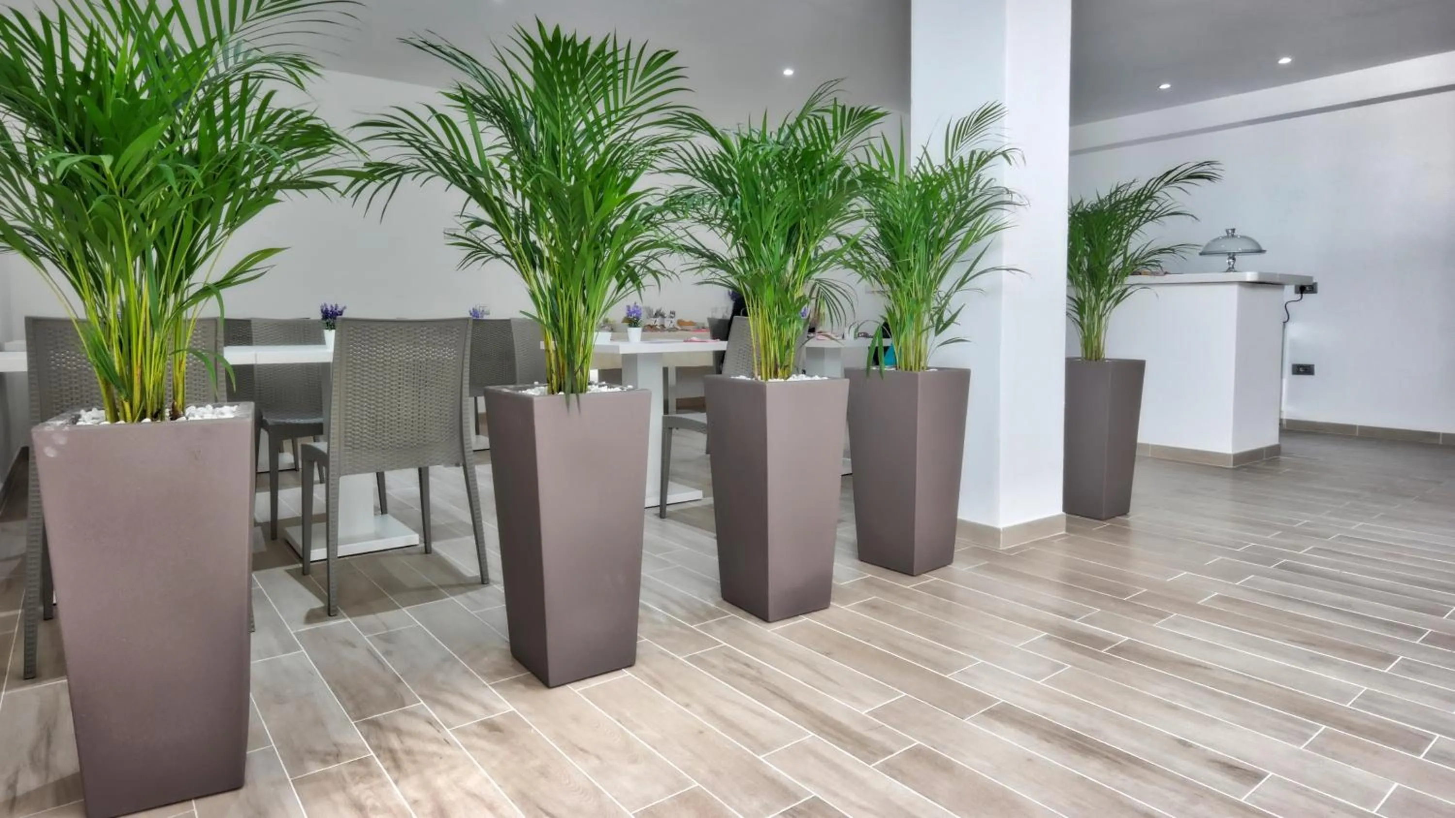 Suite Charme Experience