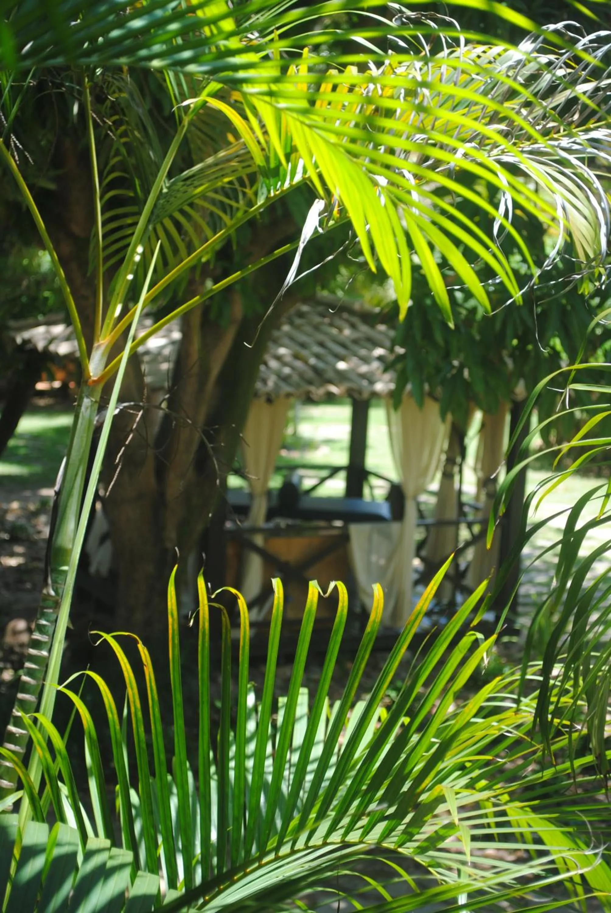 Massage in Casa Girassois