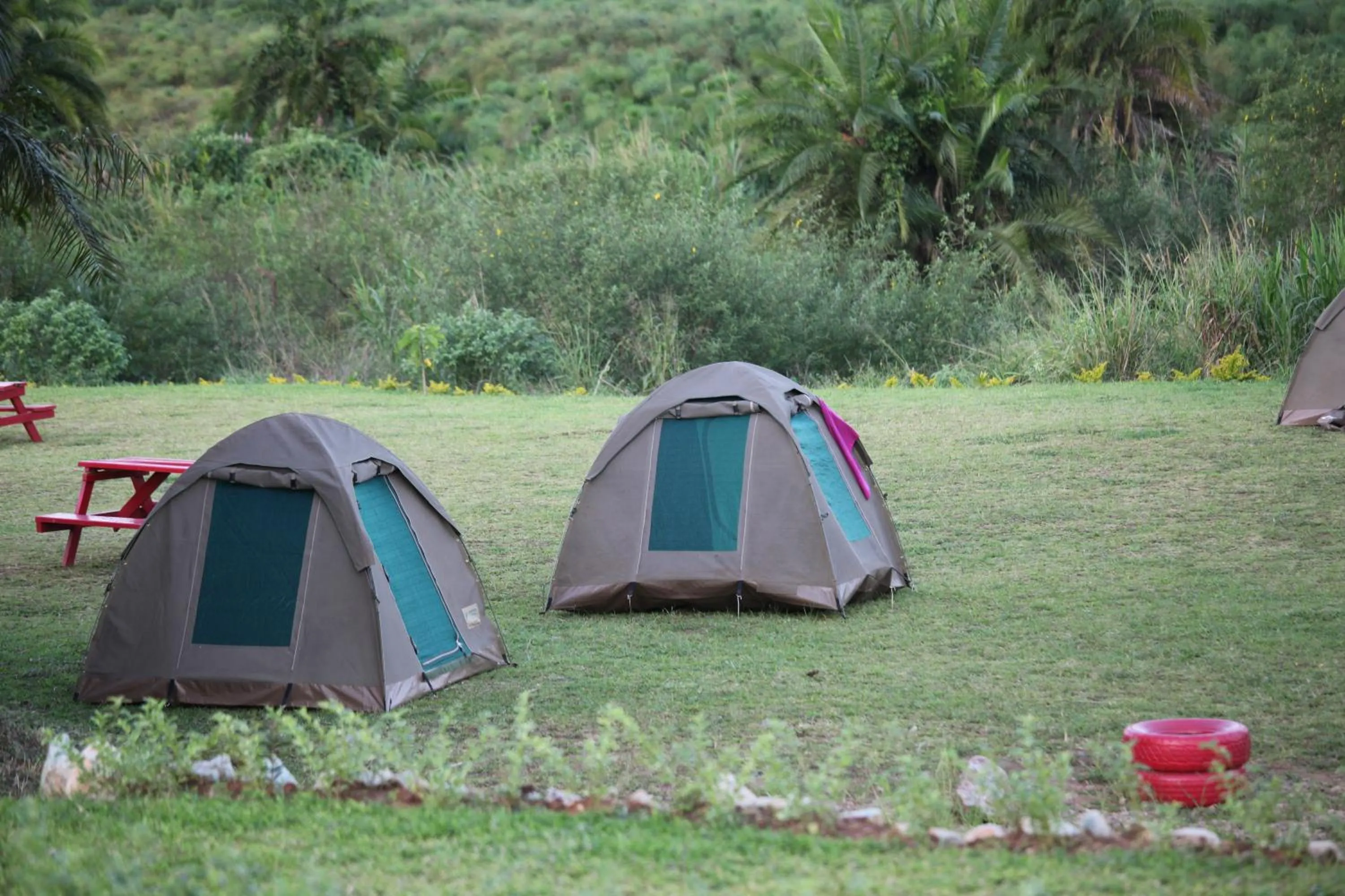 Garden in Red Chilli Hideaway