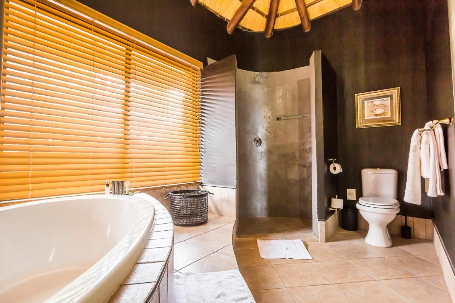 Shower in Mpeti Lodge