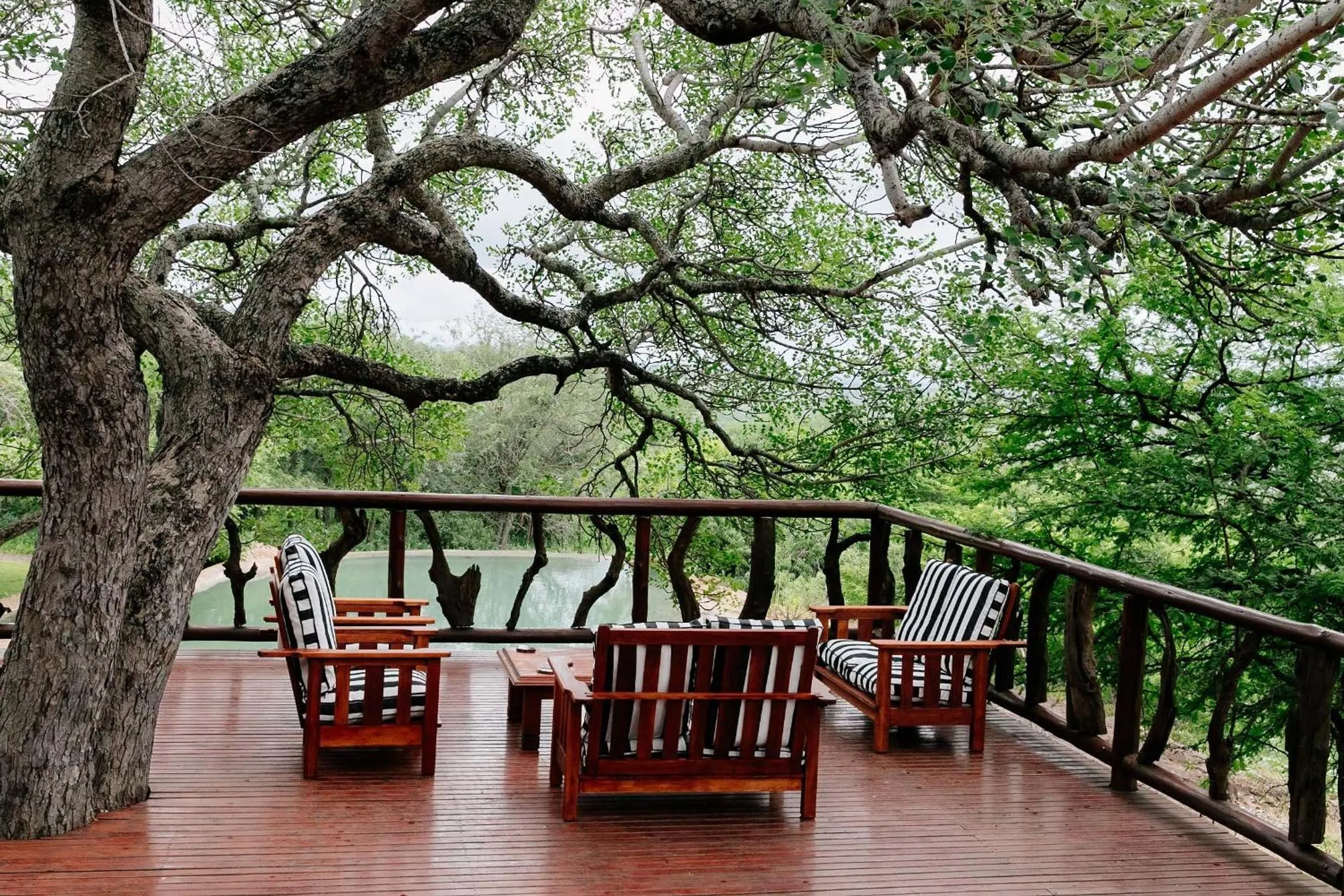 Balcony/Terrace in Mpeti Lodge