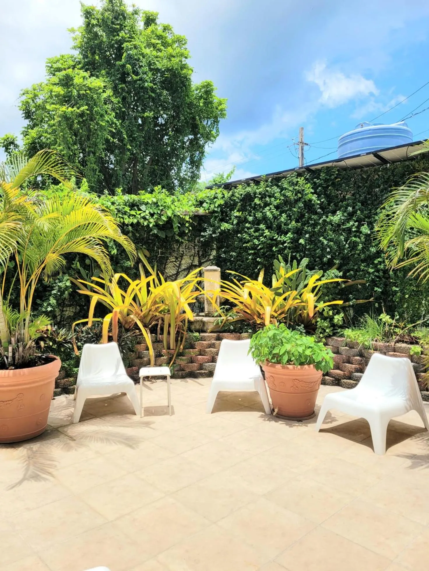 Garden in Rincon Plaza Hotel