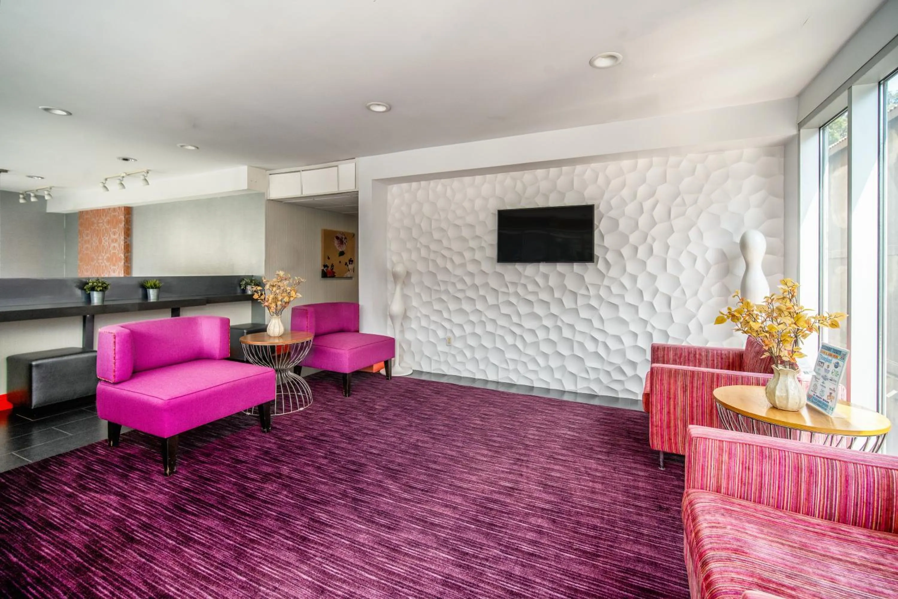 Communal lounge/ TV room in Lexen Hotel - Hollywood Walk of Fame-Universal Studios