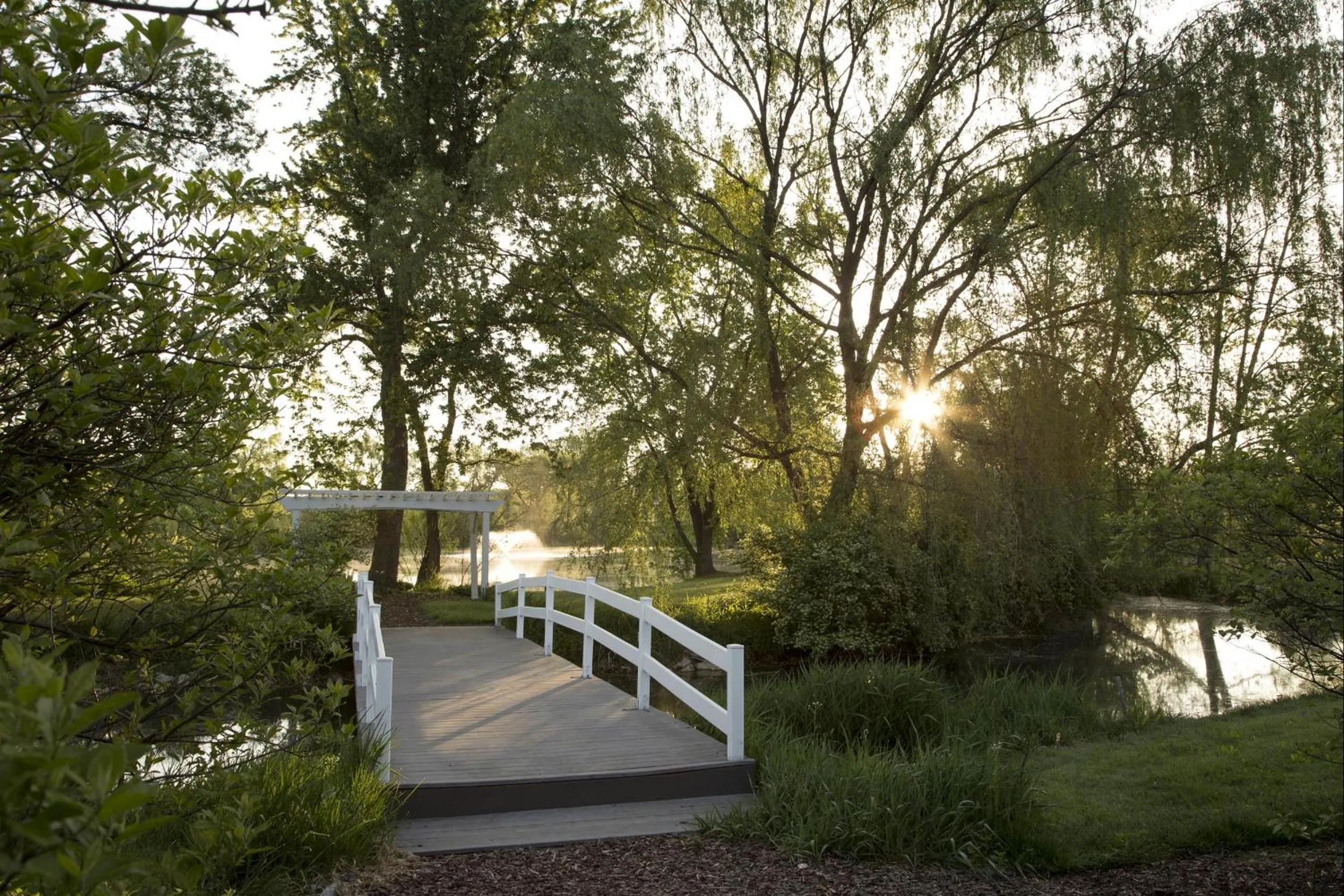 Garden in Pheasant Field Bed and Breakfast