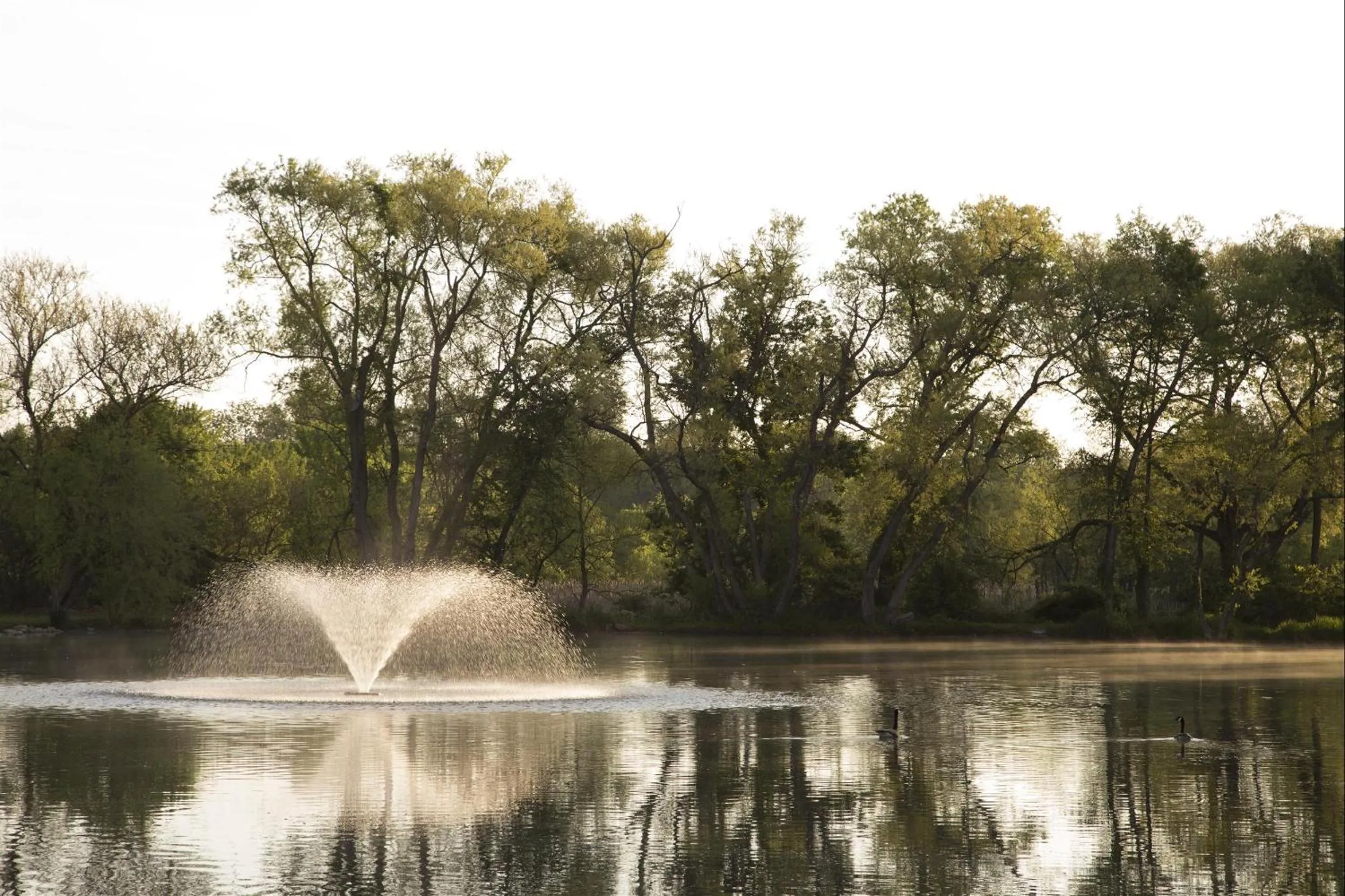 Garden in Pheasant Field Bed and Breakfast