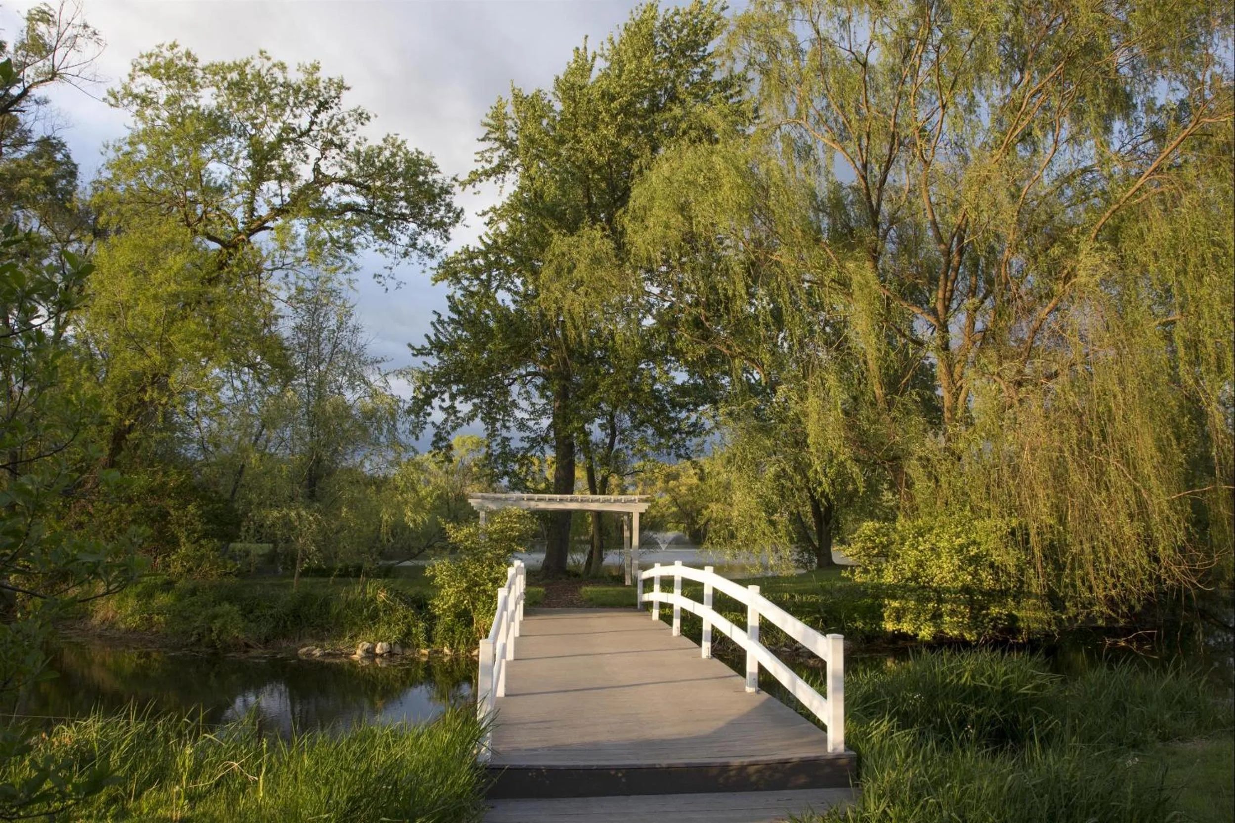 Garden in Pheasant Field Bed and Breakfast