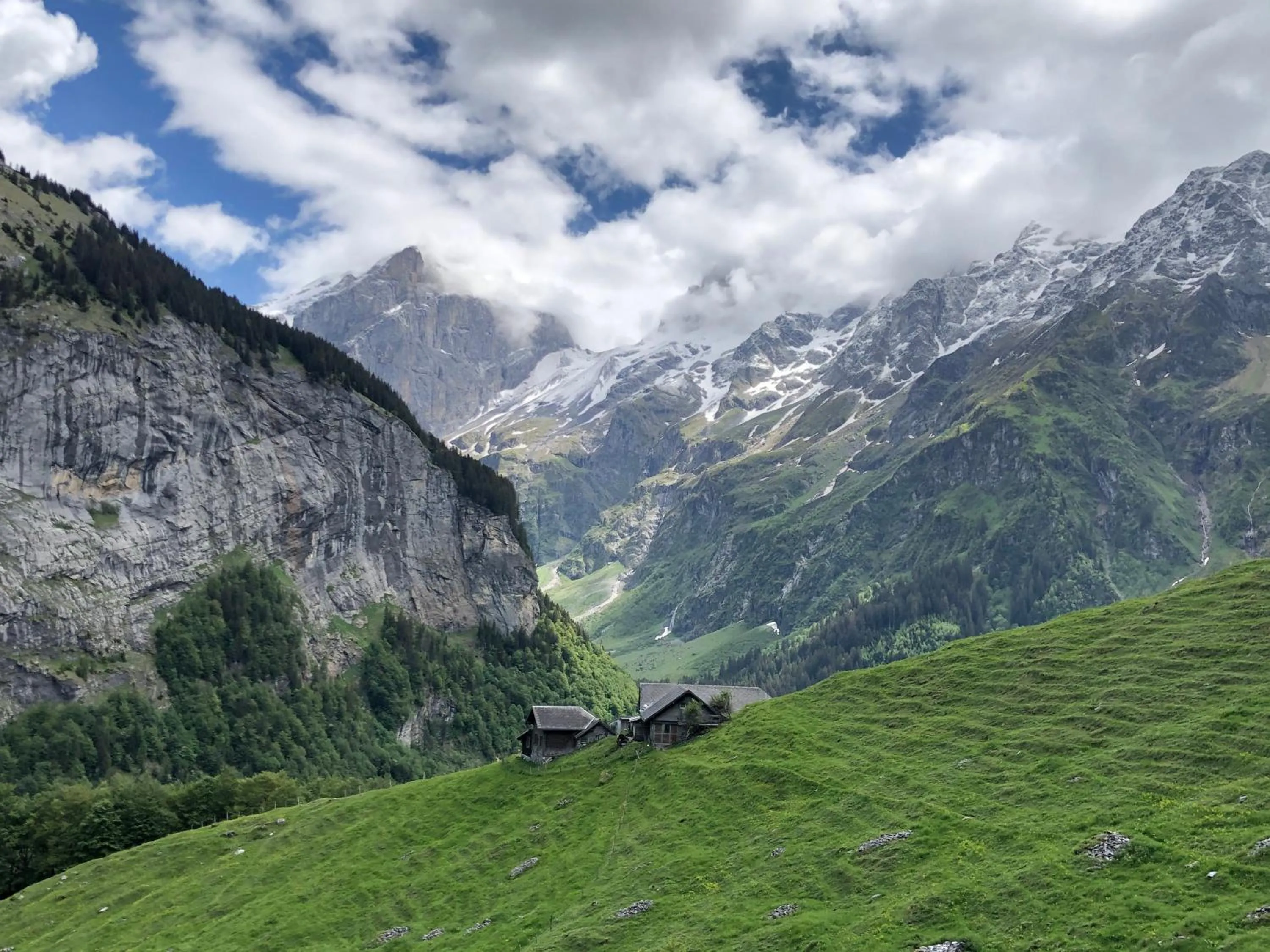 Spring in Bellevue-Terminus - Urban Lifestyle Hotel