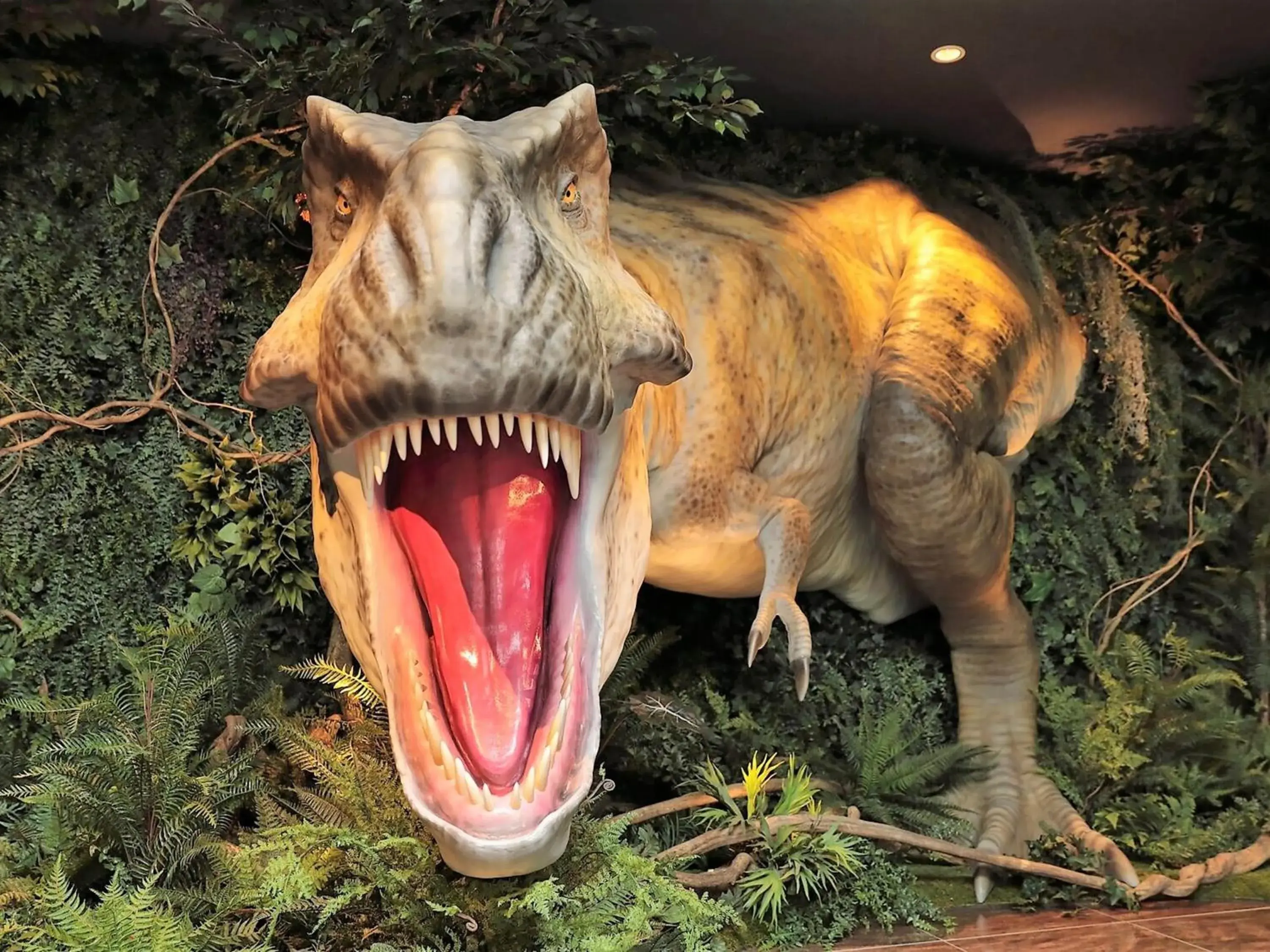 Henn na Hotel Maihama Tokyo Bay Henn na Hotel Maihama Tokyo Bay