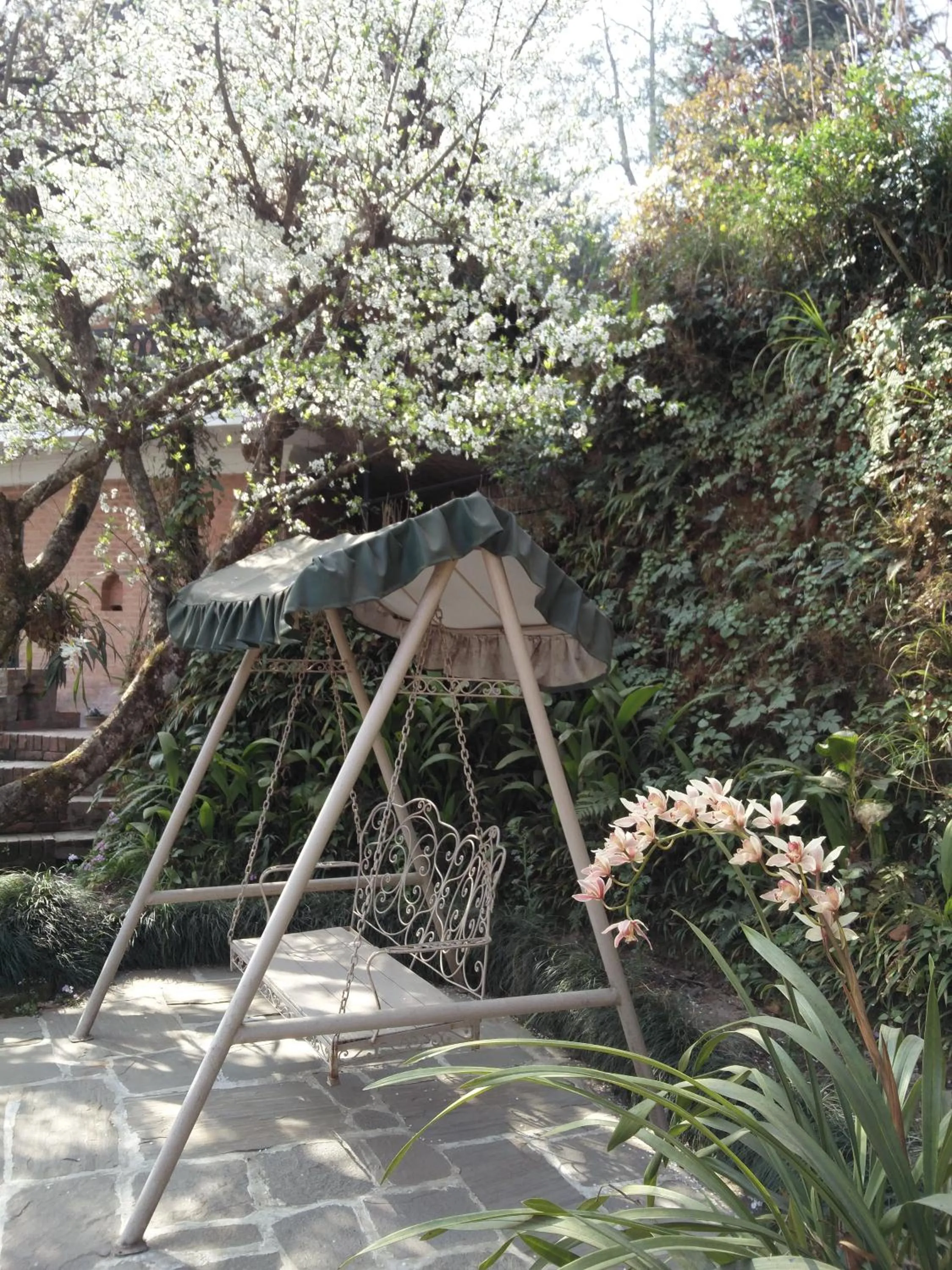 Garden in The Fort Resort