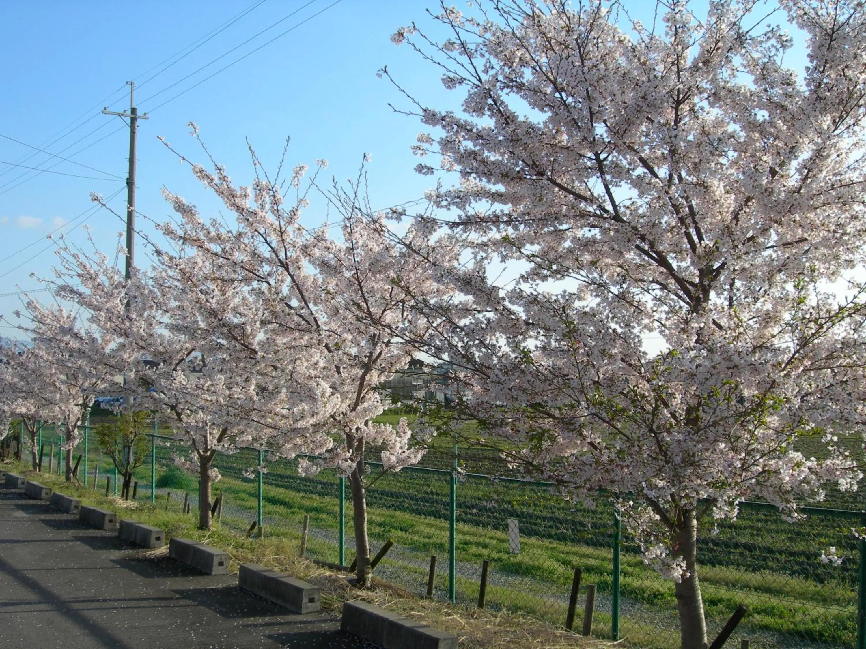 Property building in Hotel Hyper Noah (Adult Only)