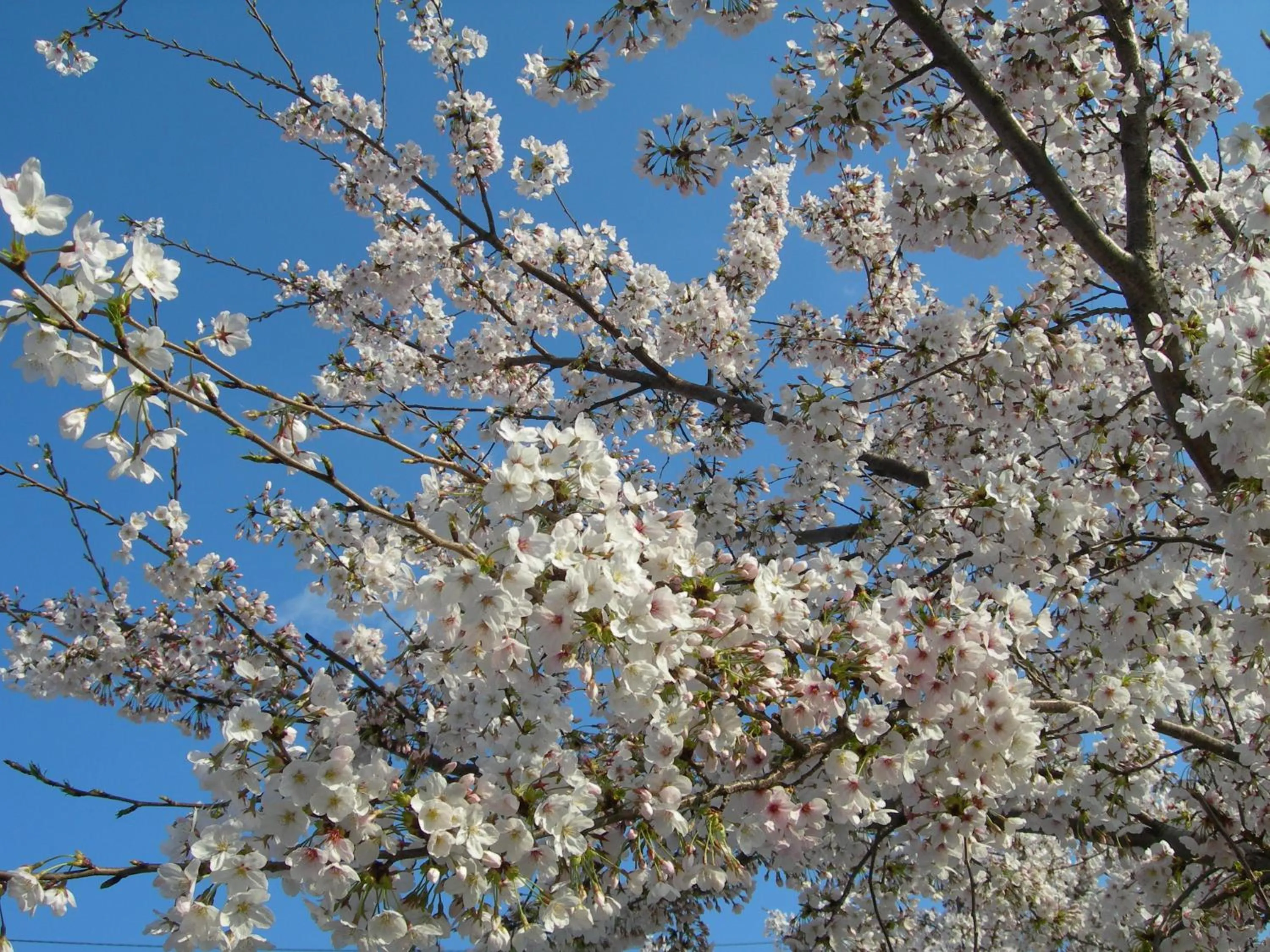 Property building in Hotel Hyper Noah (Adult Only)