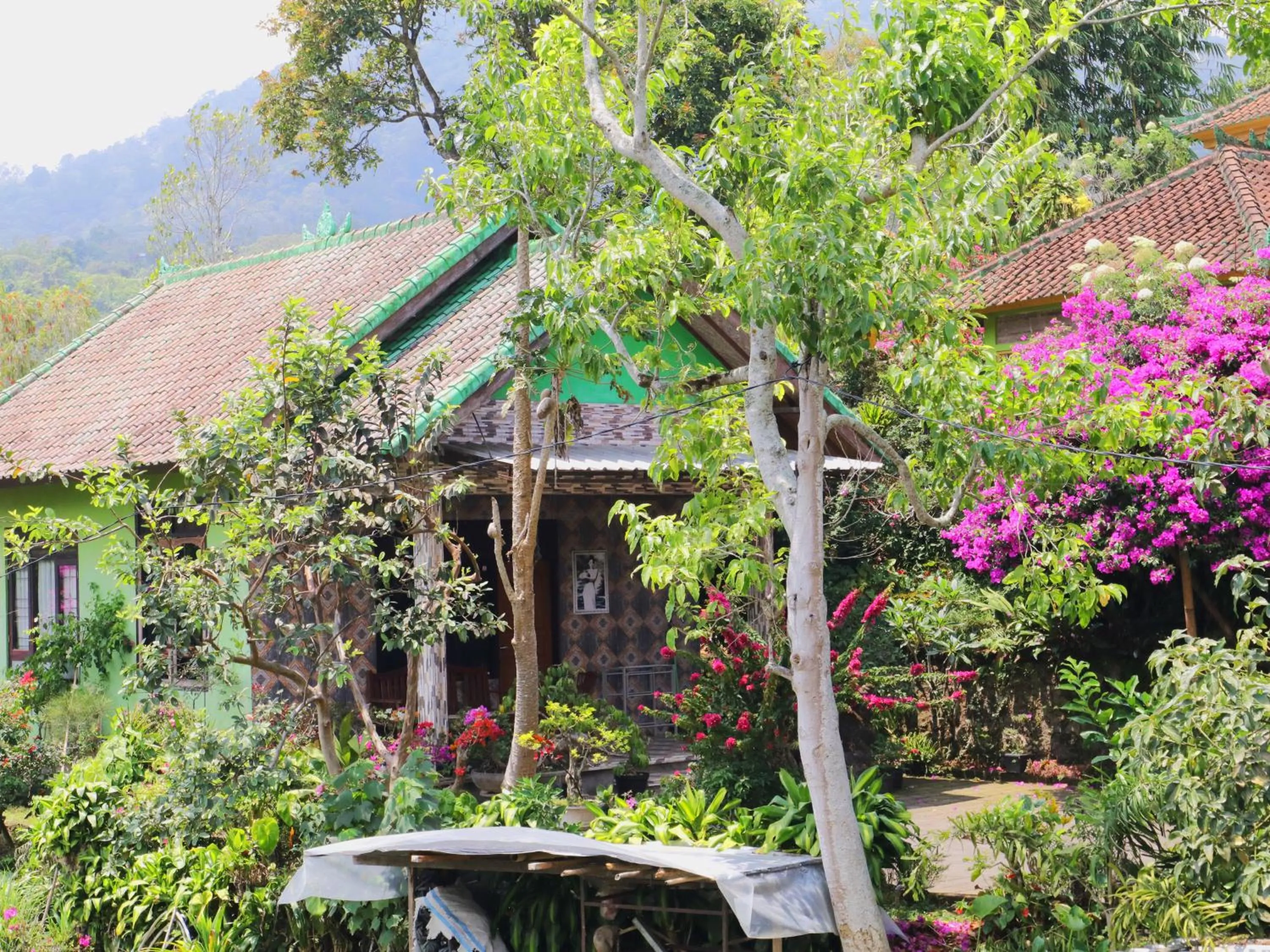 Property building in Dajan Buyan Homestay