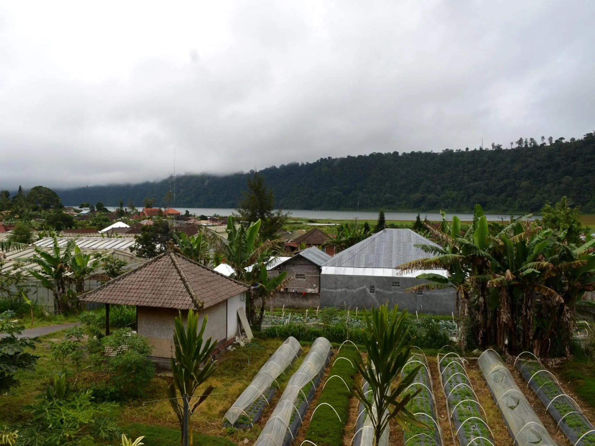 Lake view in Dajan Buyan Homestay