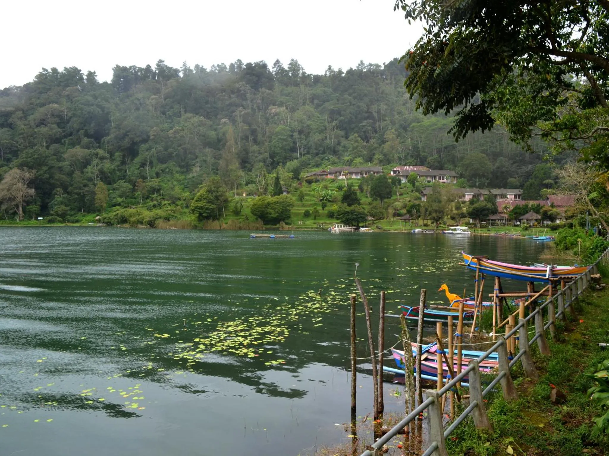 Natural landscape in Dajan Buyan Homestay