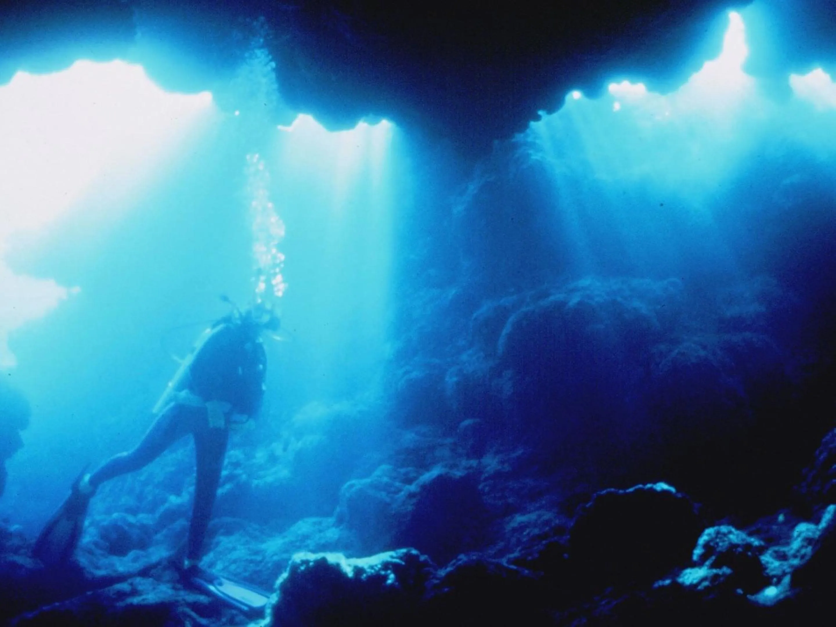 Activities in Allamanda Imgya Coral Village