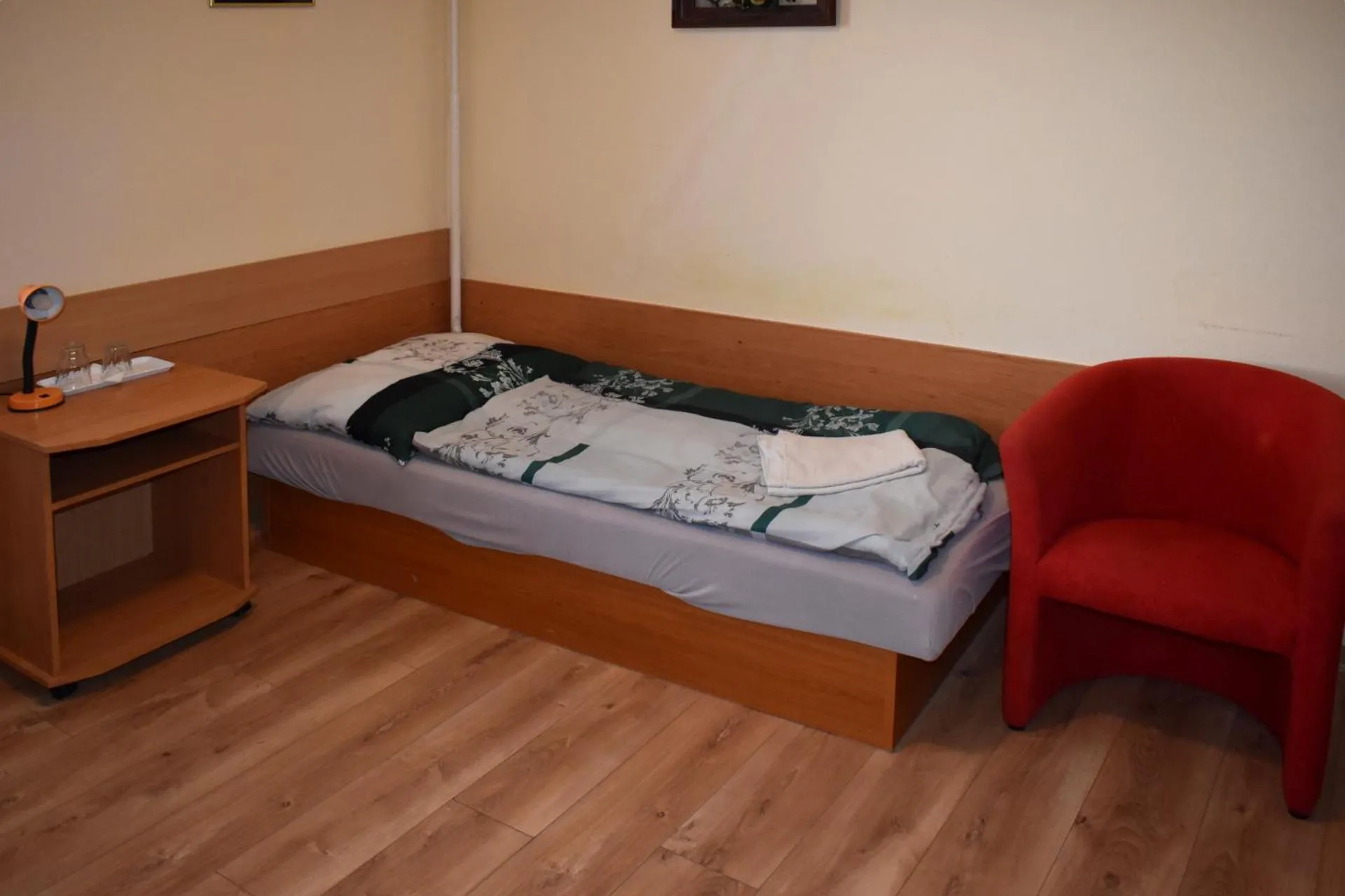 Single Room - single occupancy in Penzión Ivana