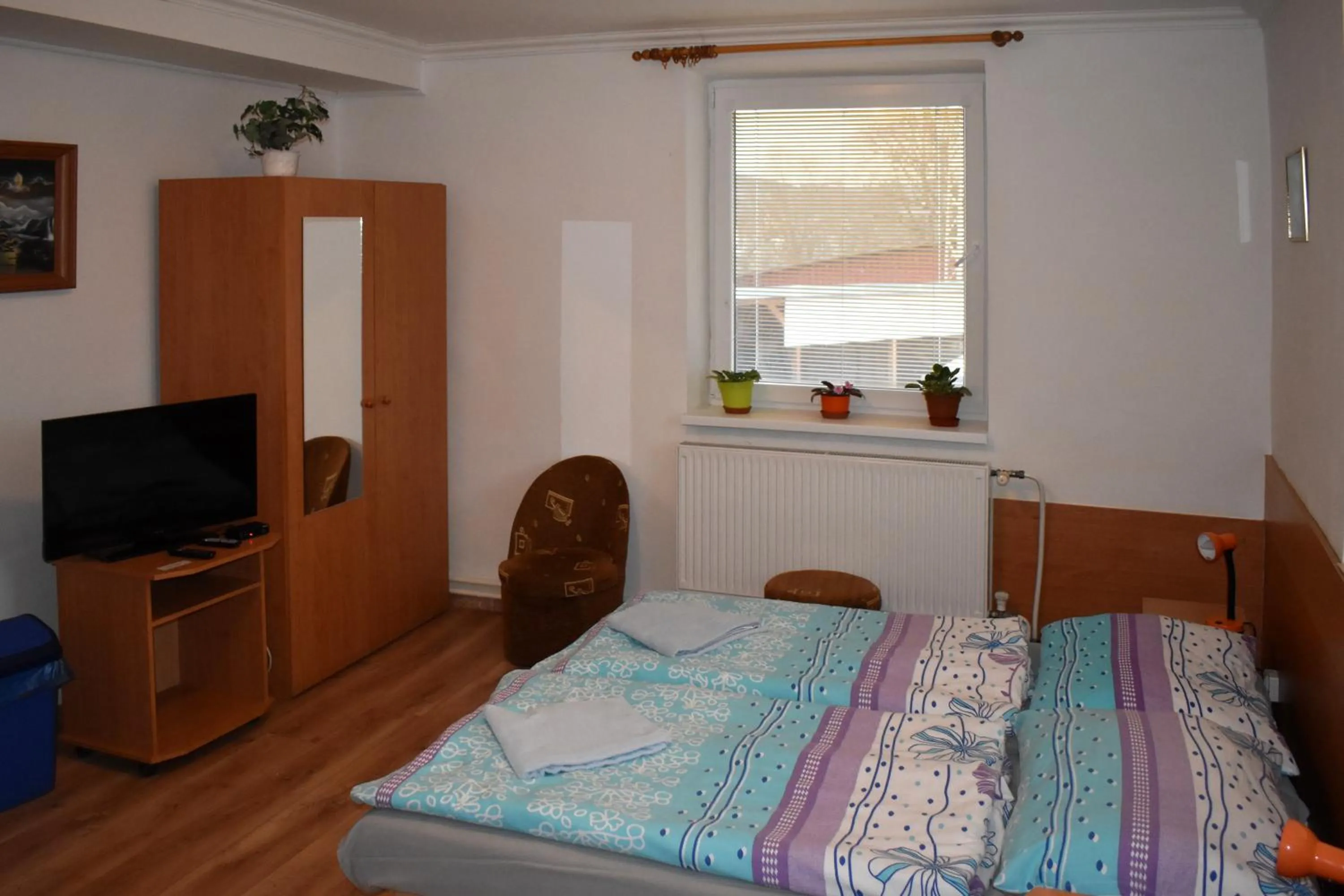 Single Room - single occupancy in Penzión Ivana