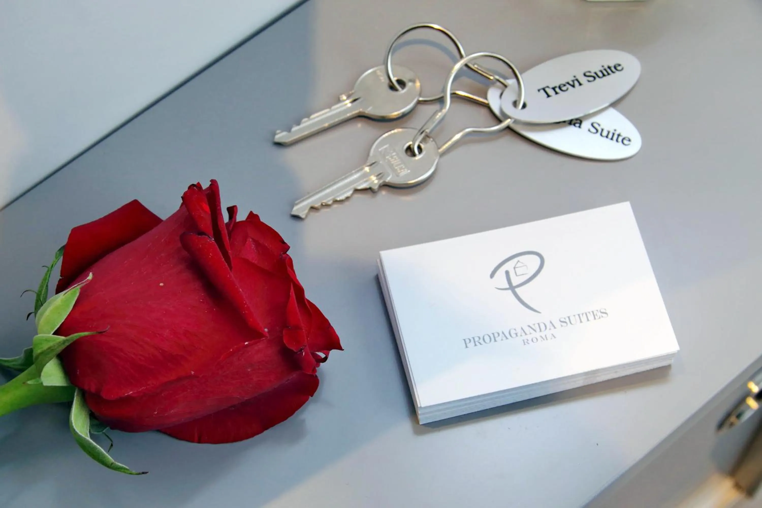 Decorative detail in Propaganda Suites