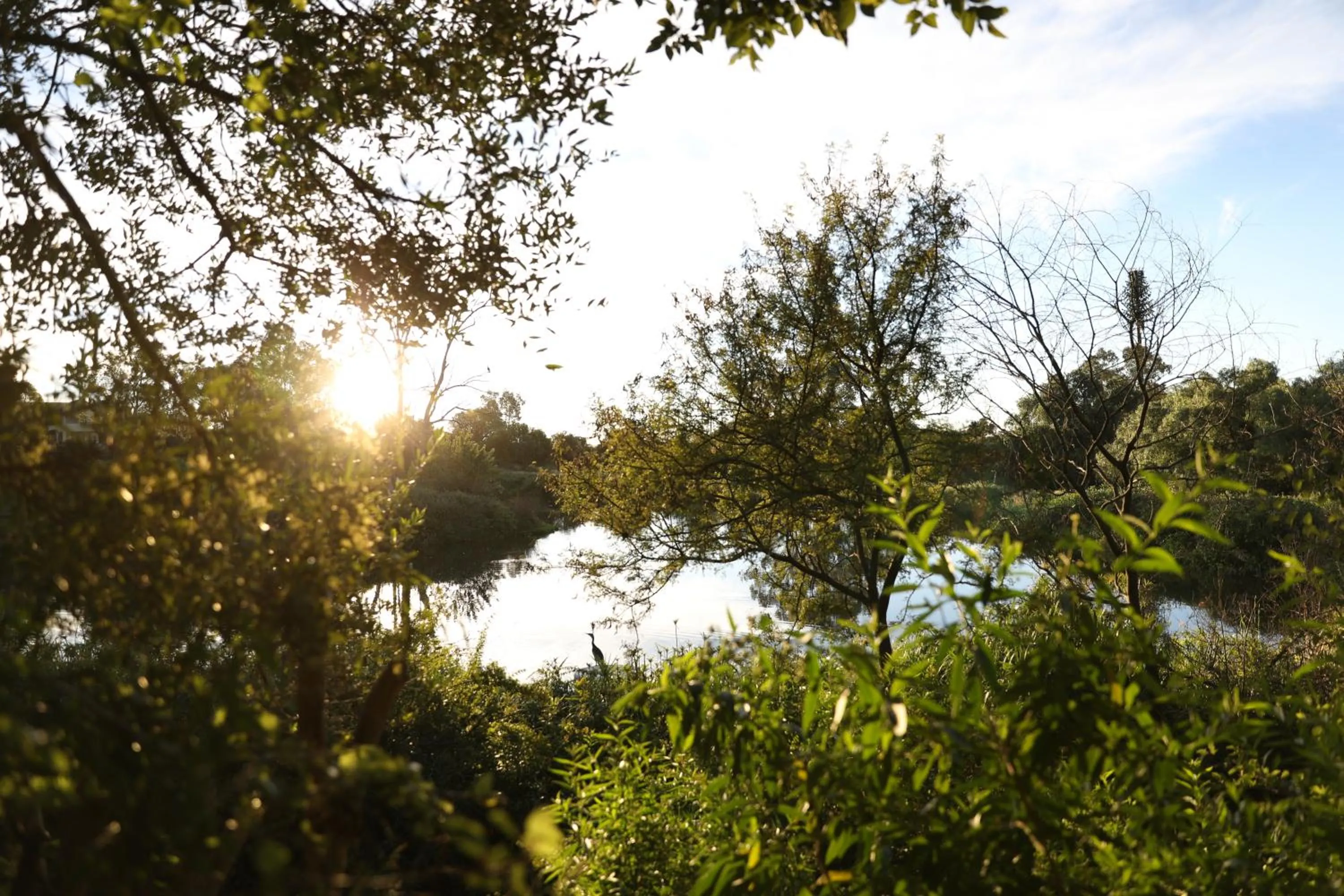 Garden in The Royal Fischer Hotel