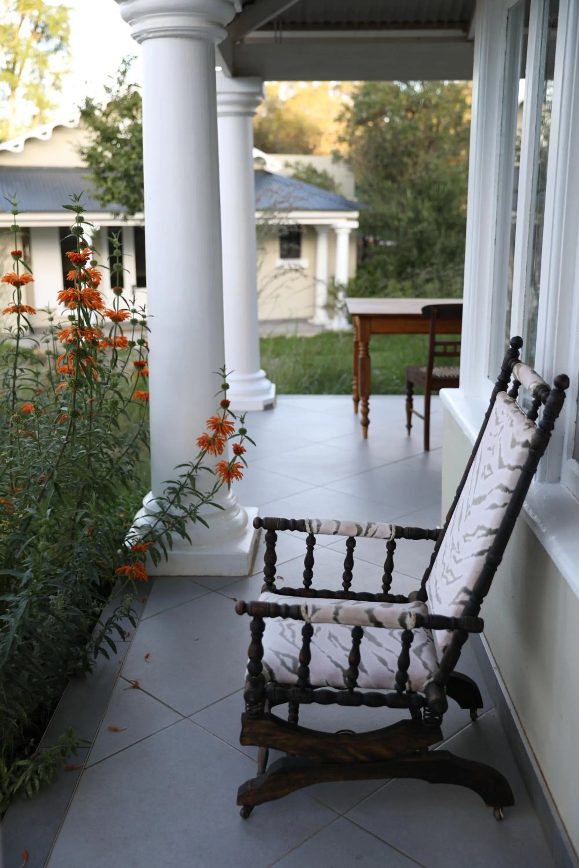 Garden in The Royal Fischer Hotel