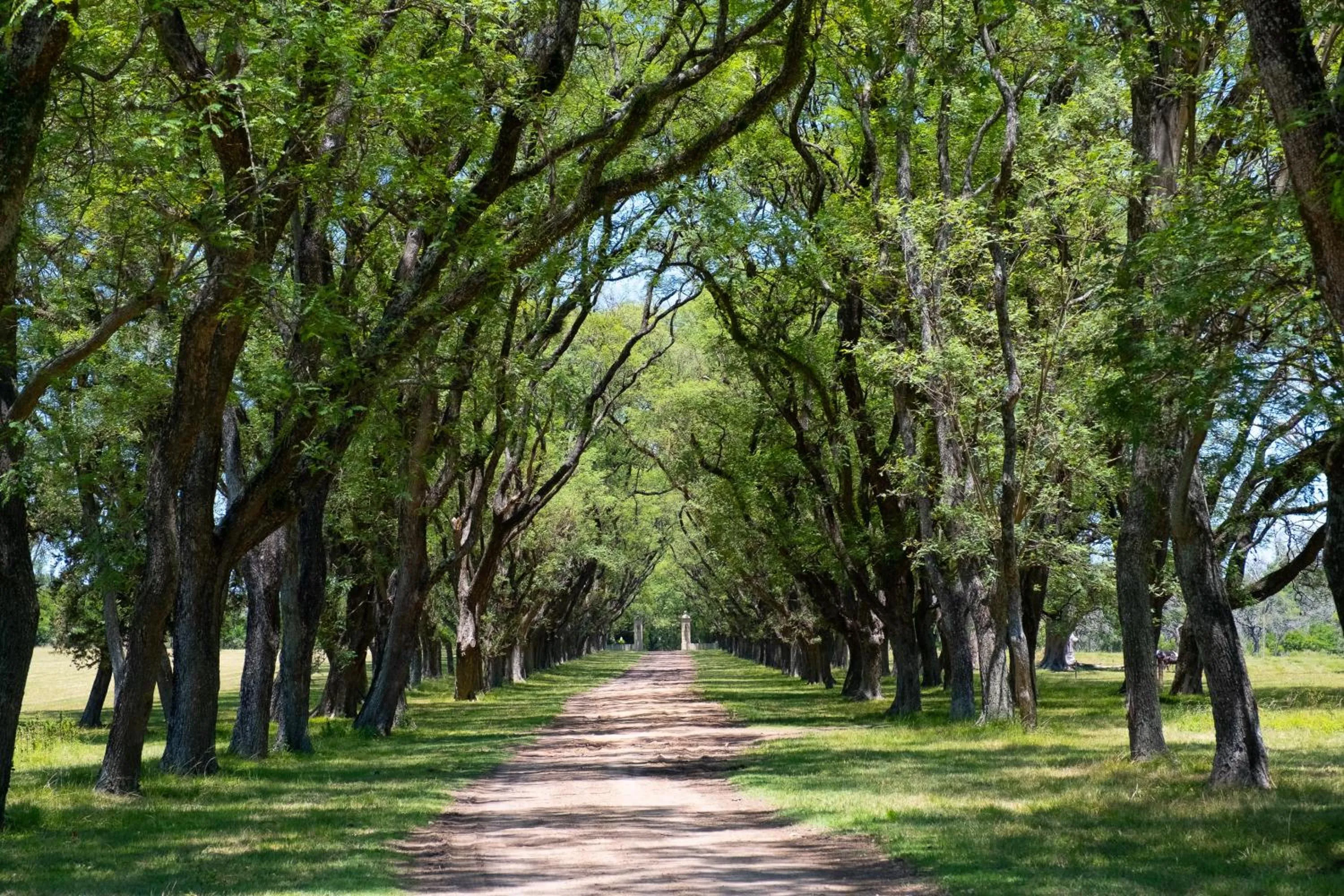 Day in Palacio Santa Candida