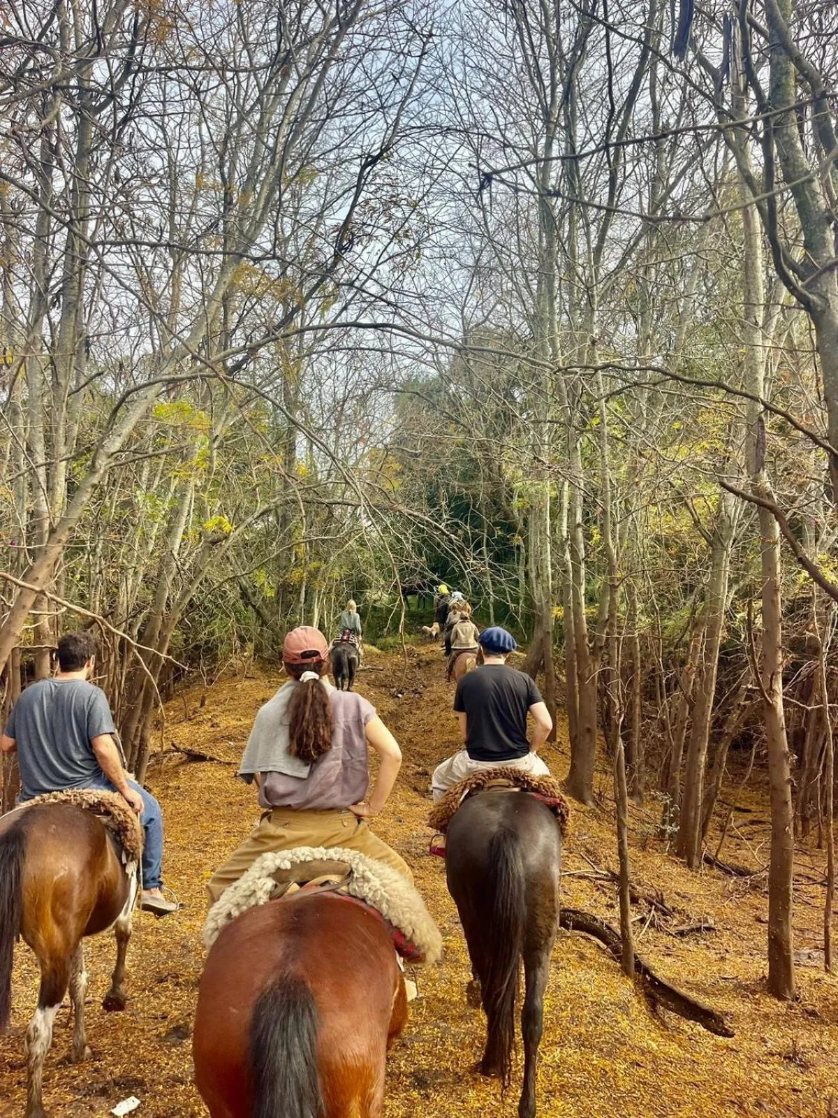 Palacio Santa Candida