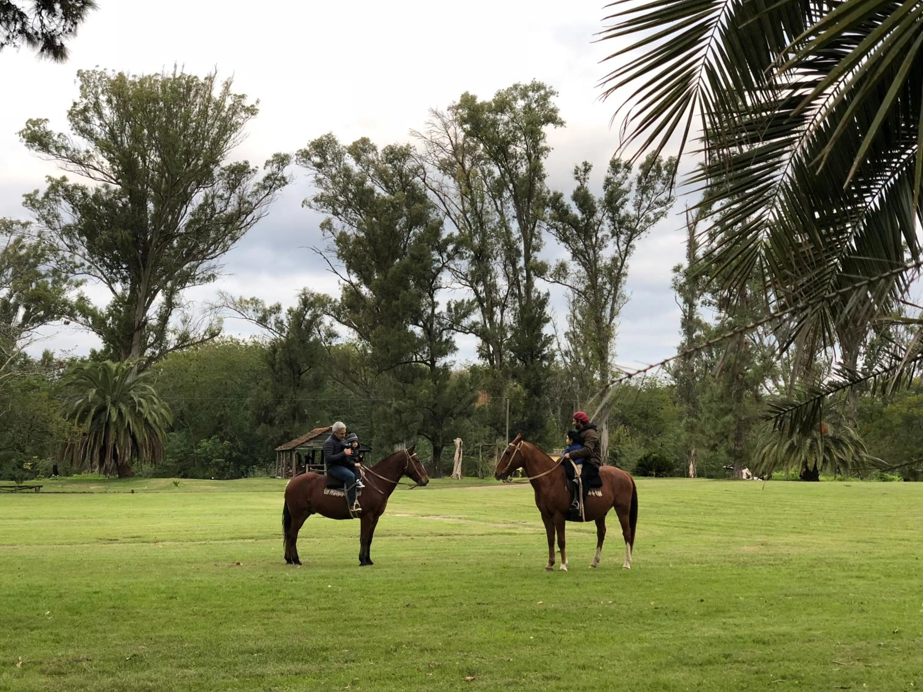 Natural landscape in Palacio Santa Candida
